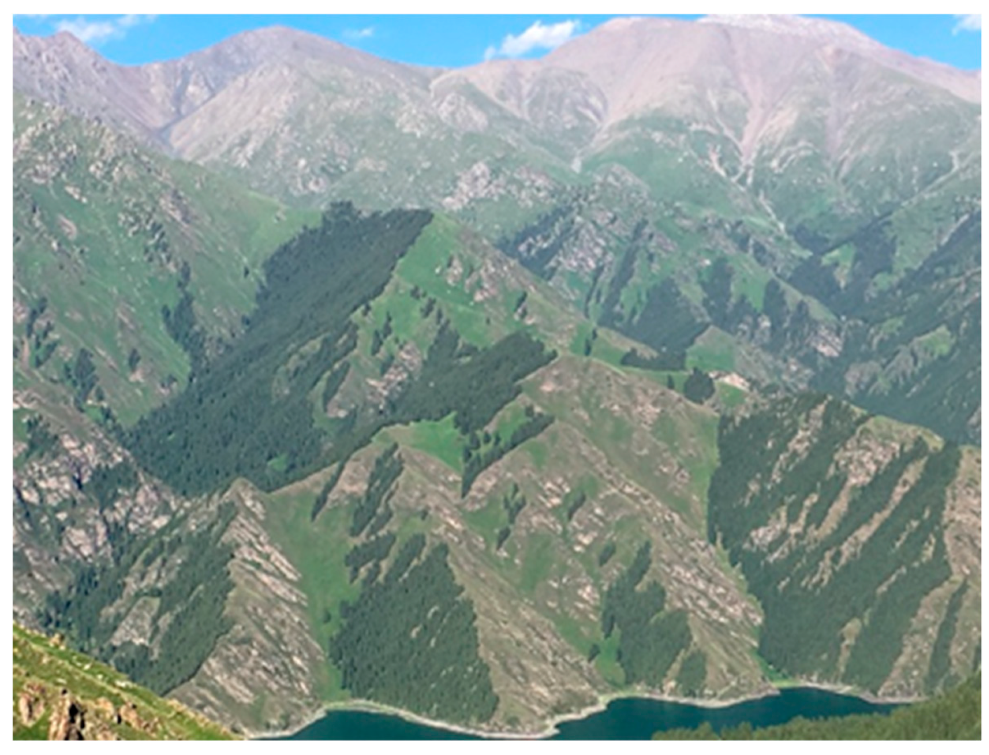 Remotesensing 11 02861 g007