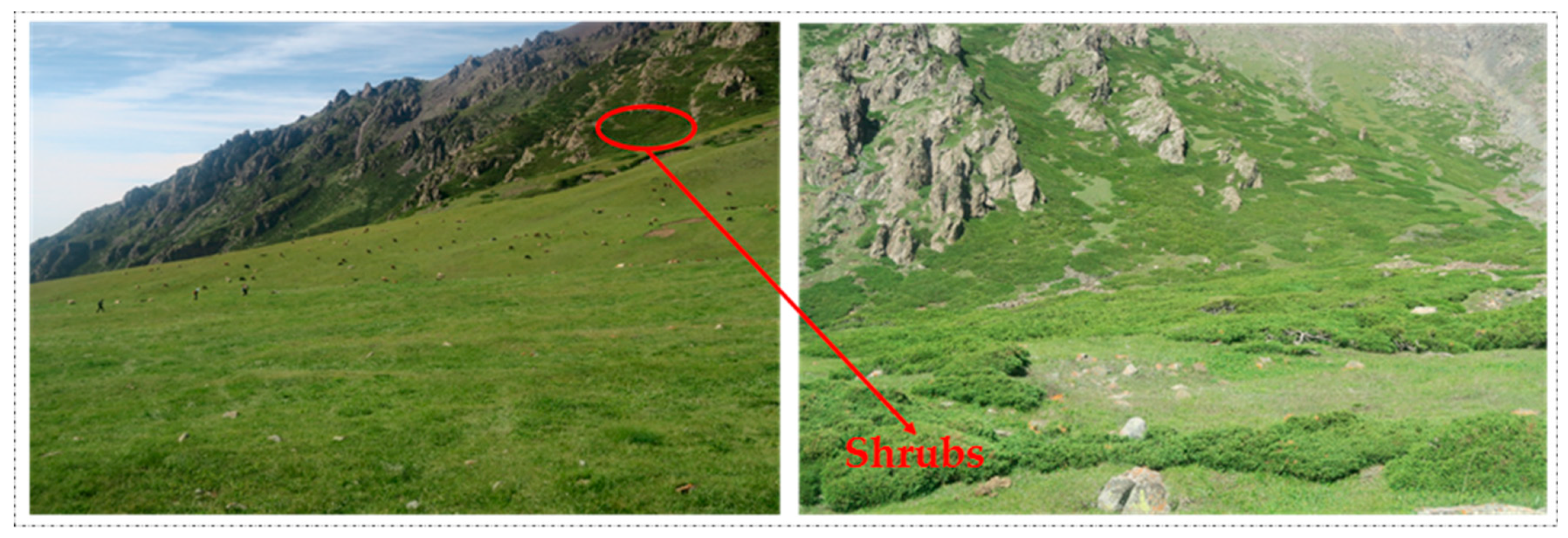 Remotesensing 11 02861 g014