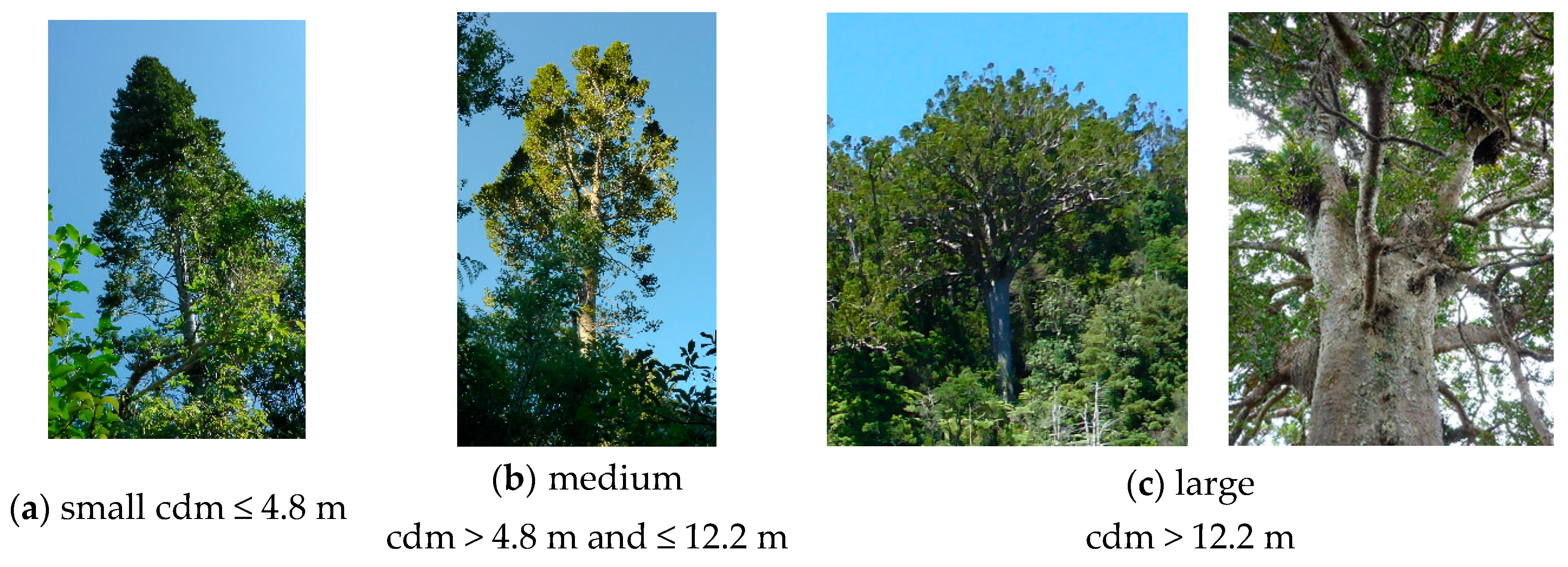 Remotesensing 11 02865 g001