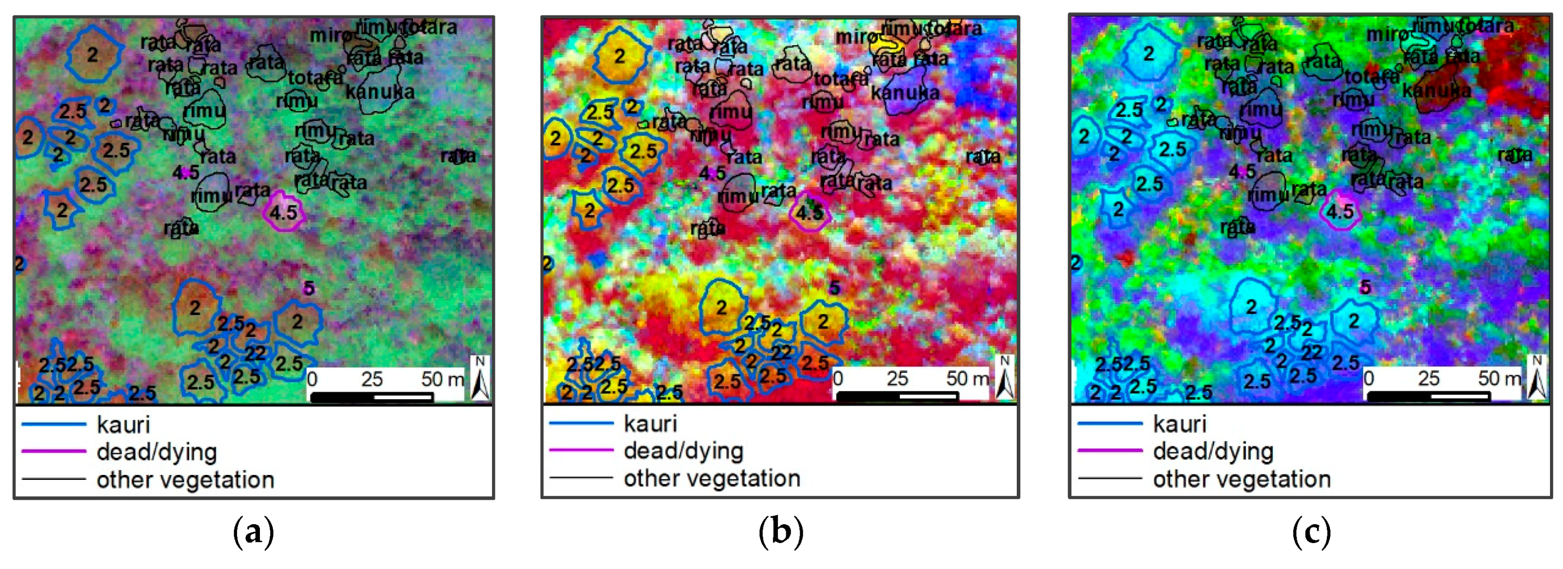 Remotesensing 11 02865 g011