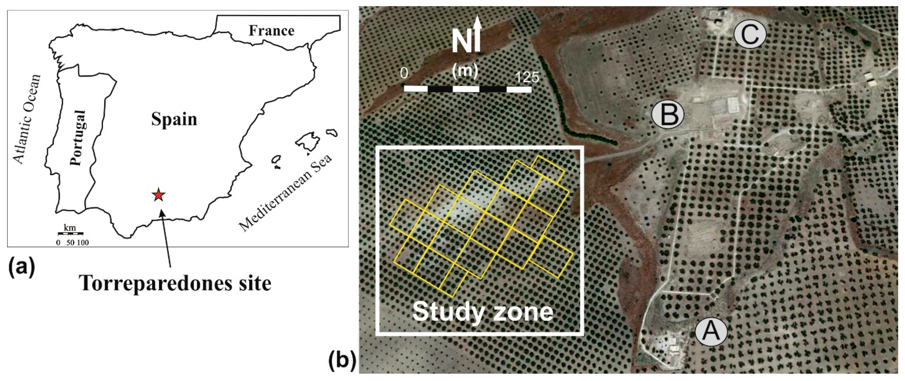 Remotesensing 11 02937 g001
