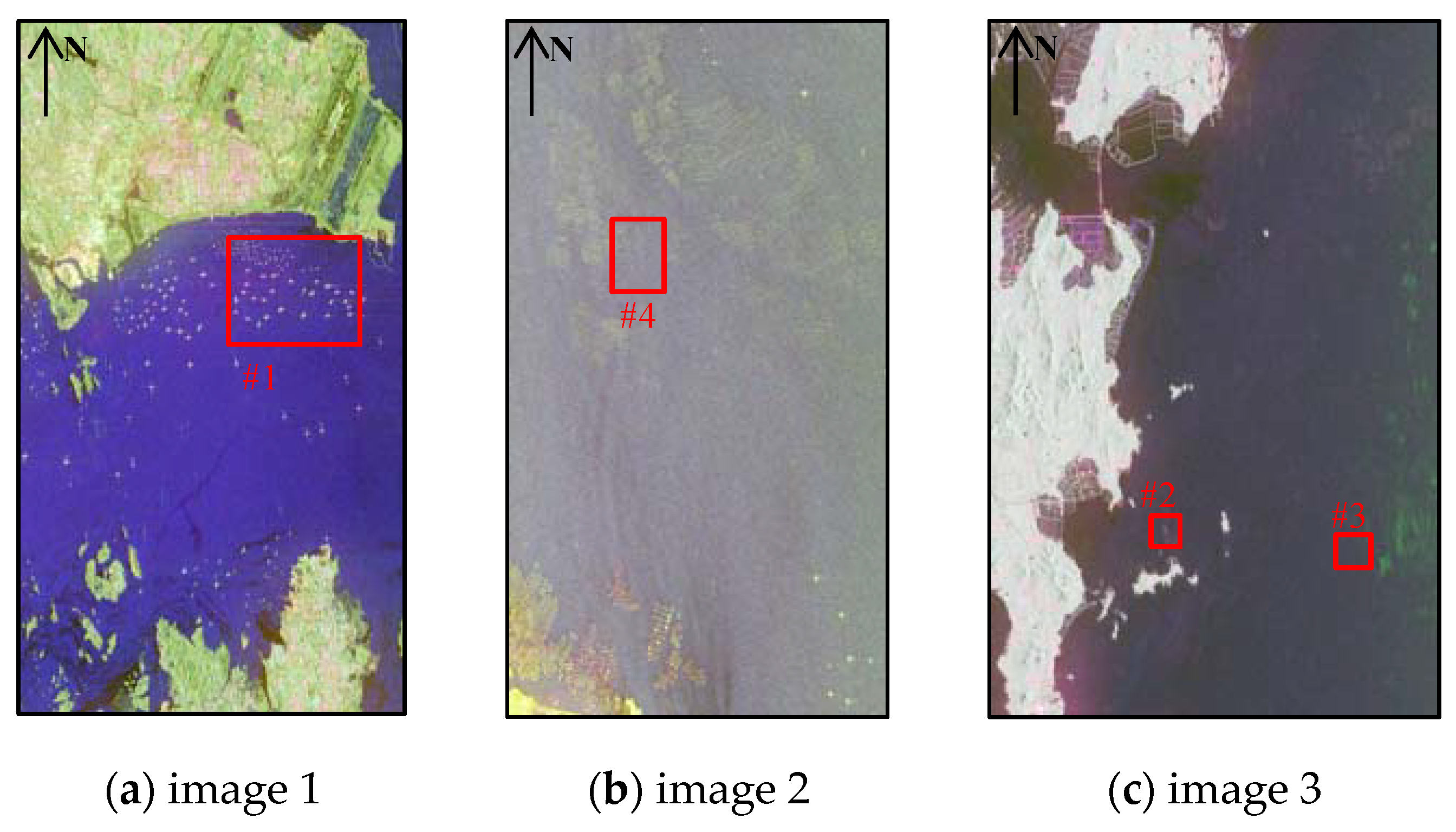 Remotesensing 11 02938 g003