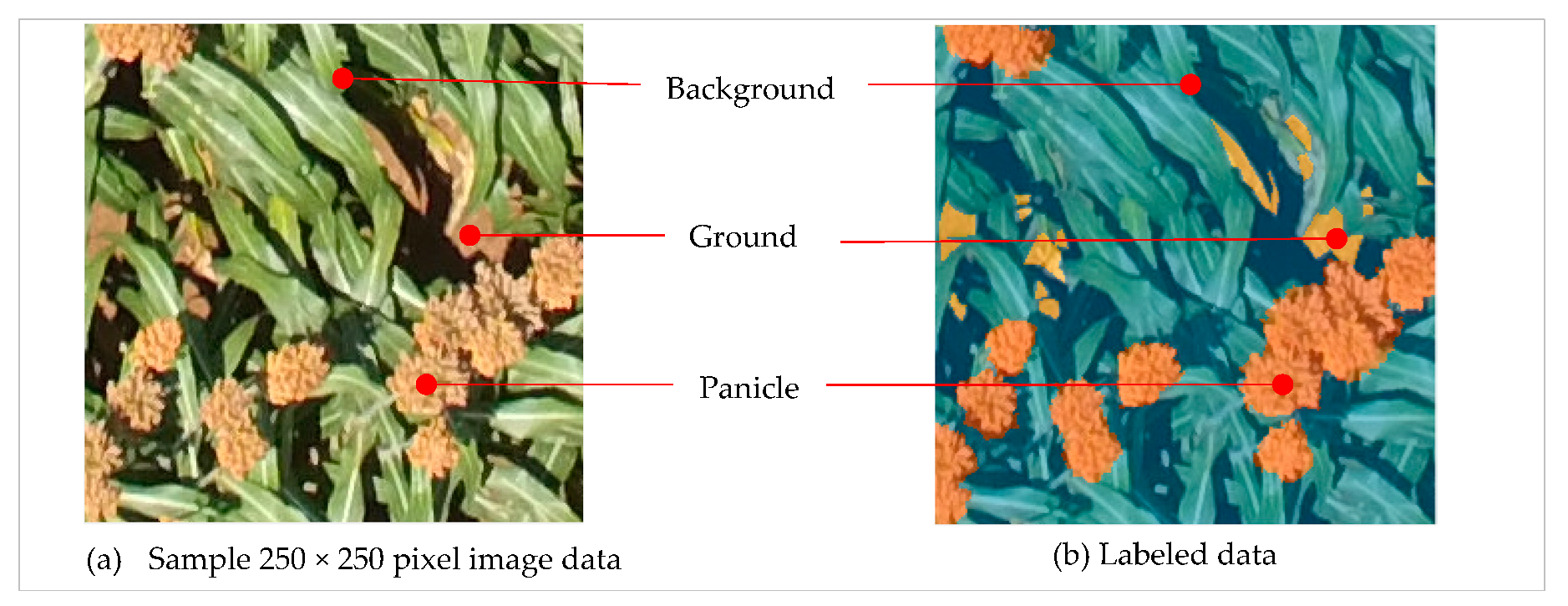 Remotesensing 11 02939 g002 Remotesensing 11 02939 g002