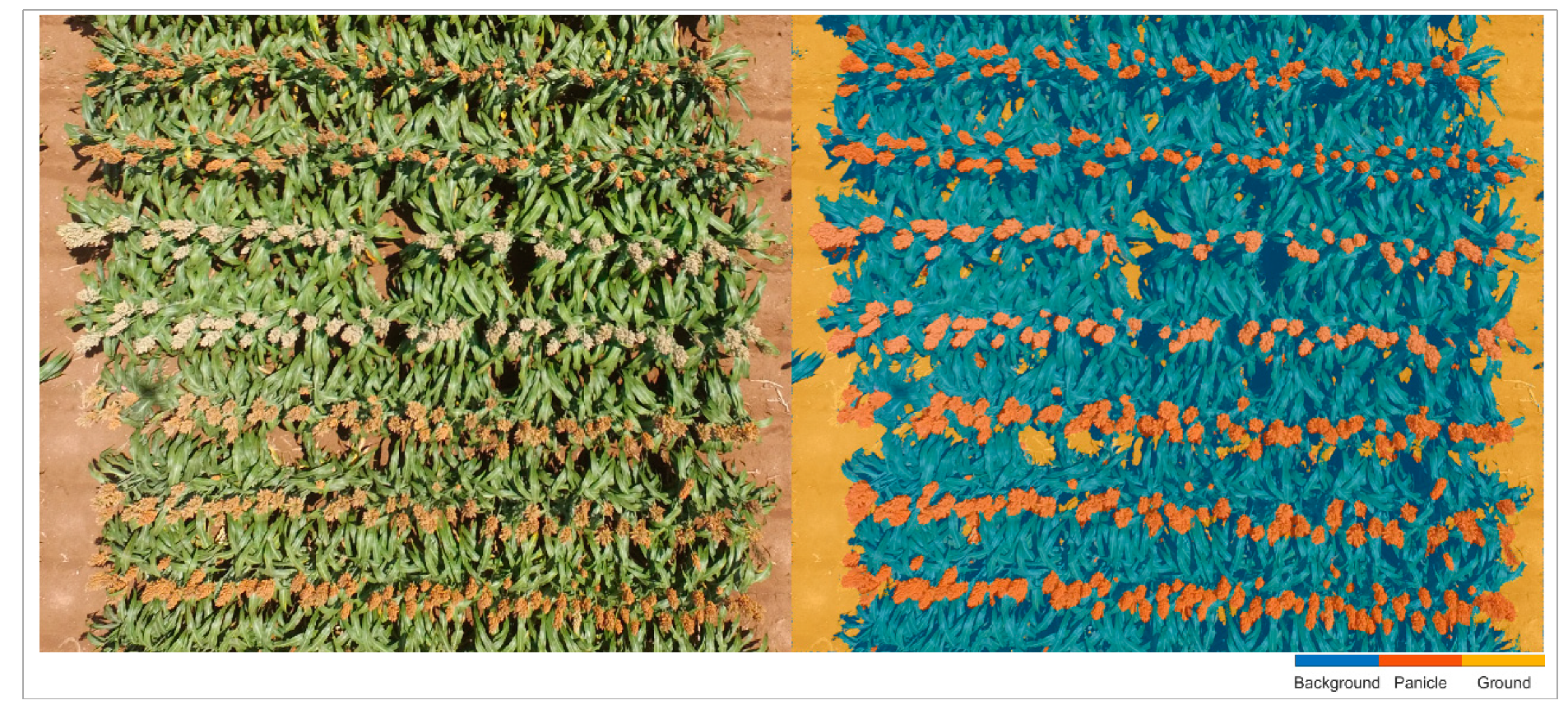 Remotesensing 11 02939 g005 Remotesensing 11 02939 g005