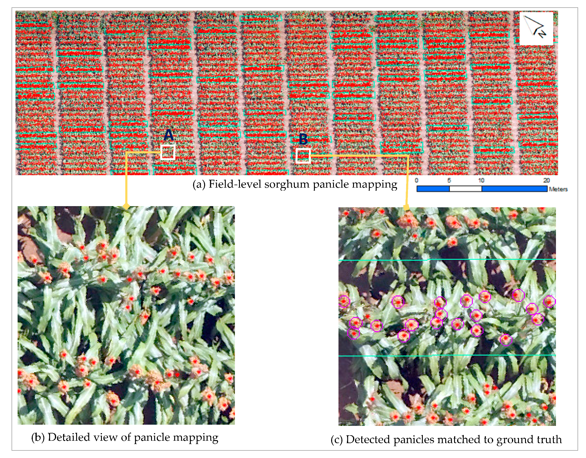 Remotesensing 11 02939 g007 Remotesensing 11 02939 g007