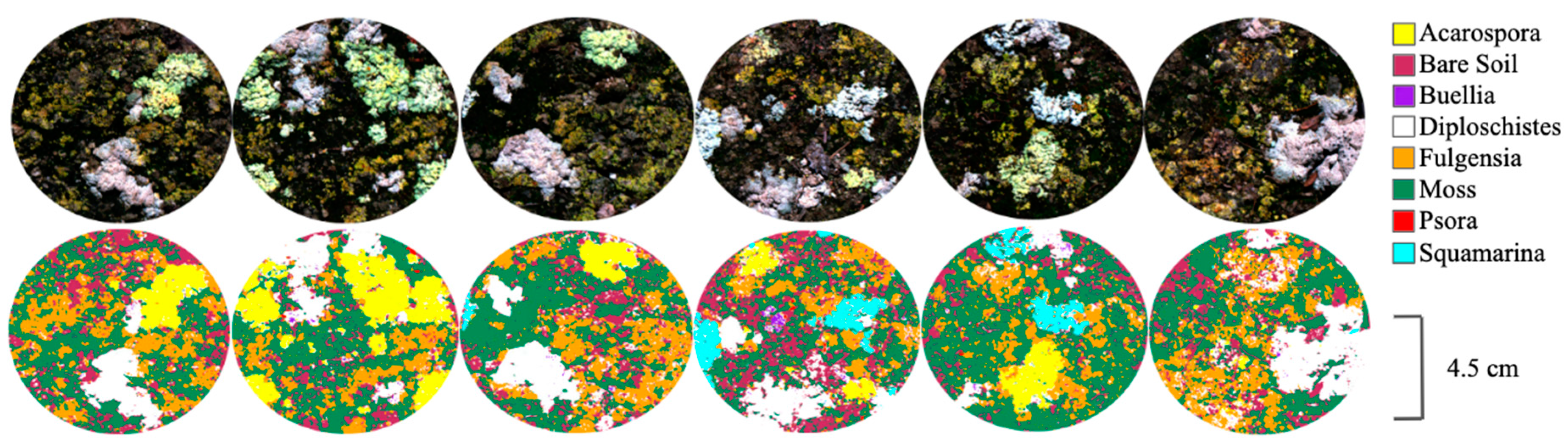 Remotesensing 11 02942 g003 Remotesensing 11 02942 g003