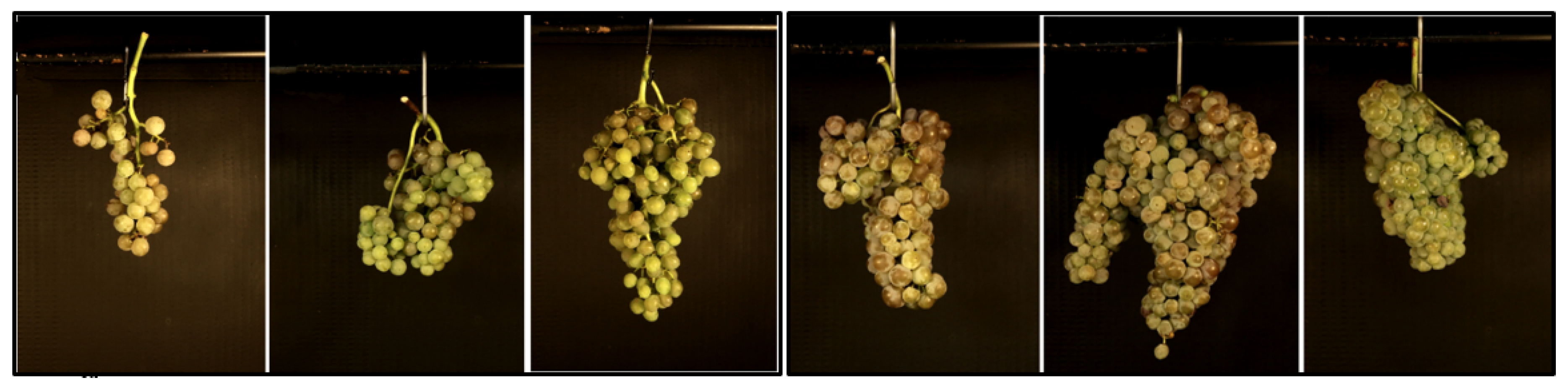 Remotesensing 11 02953 g001 Remotesensing 11 02953 g001