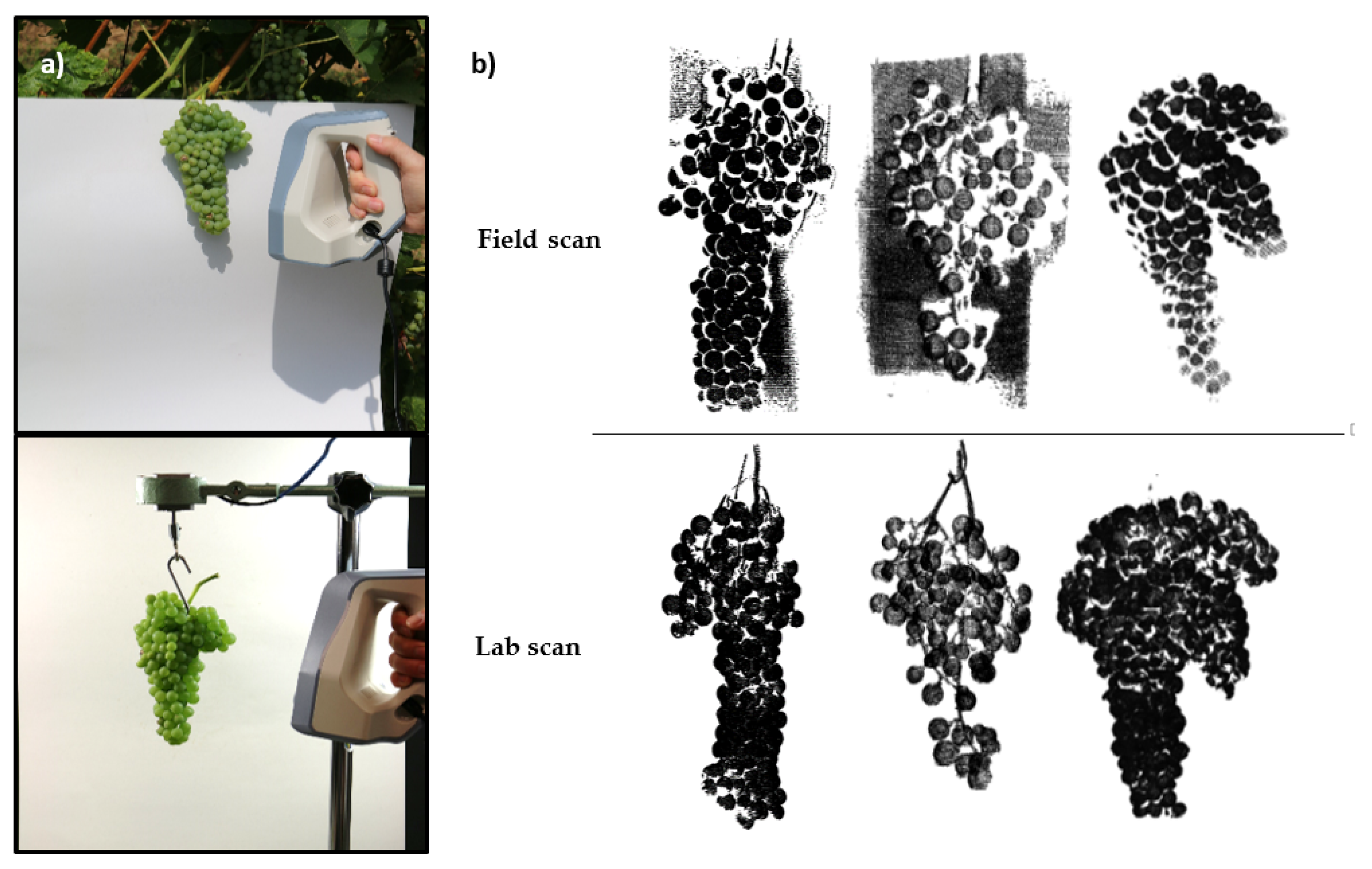 Remotesensing 11 02953 g002 Remotesensing 11 02953 g002