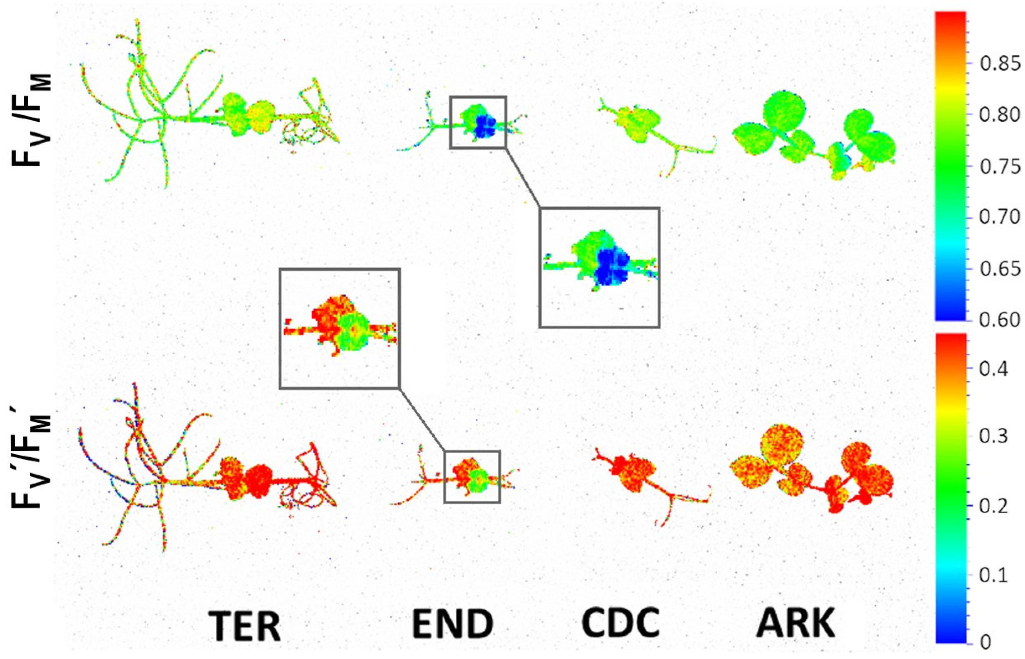 Remotesensing 11 02964 g005 Remotesensing 11 02964 g005