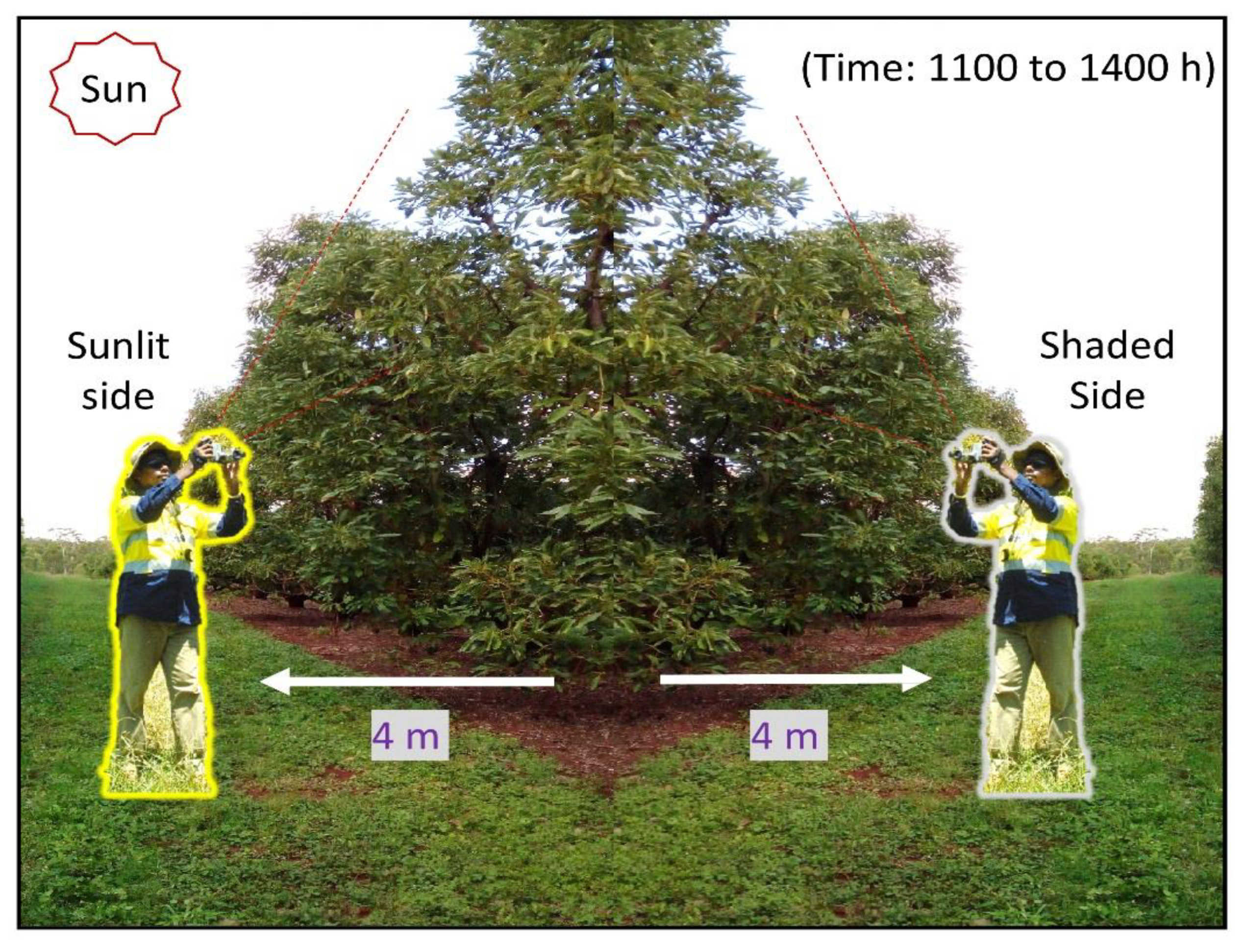 Remotesensing 11 02972 g002 Remotesensing 11 02972 g002