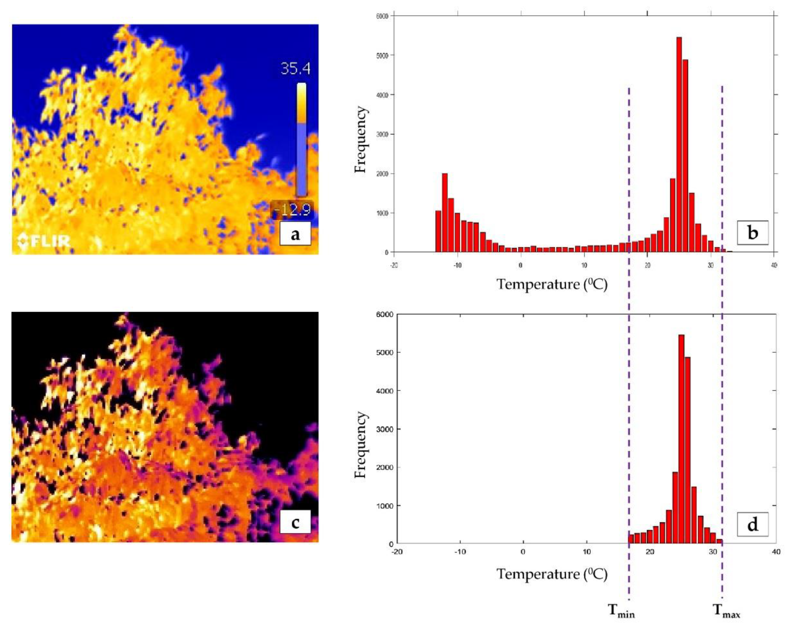 Remotesensing 11 02972 g003 Remotesensing 11 02972 g003
