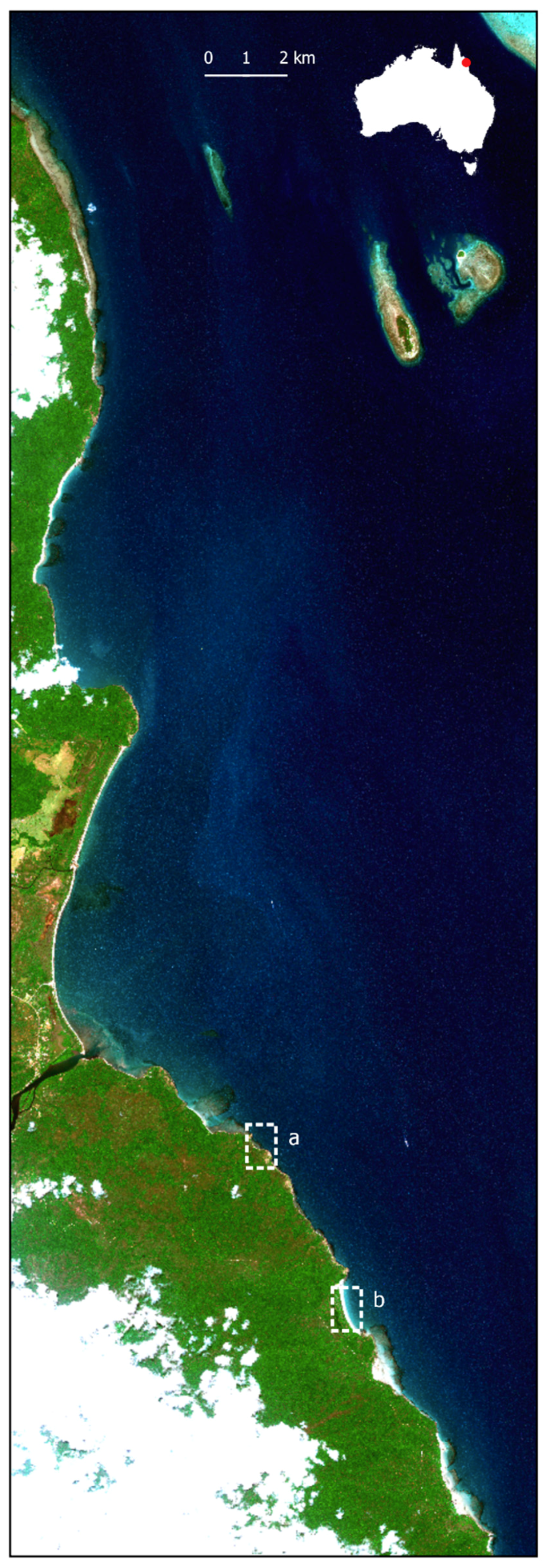 Remotesensing 11 02984 g003