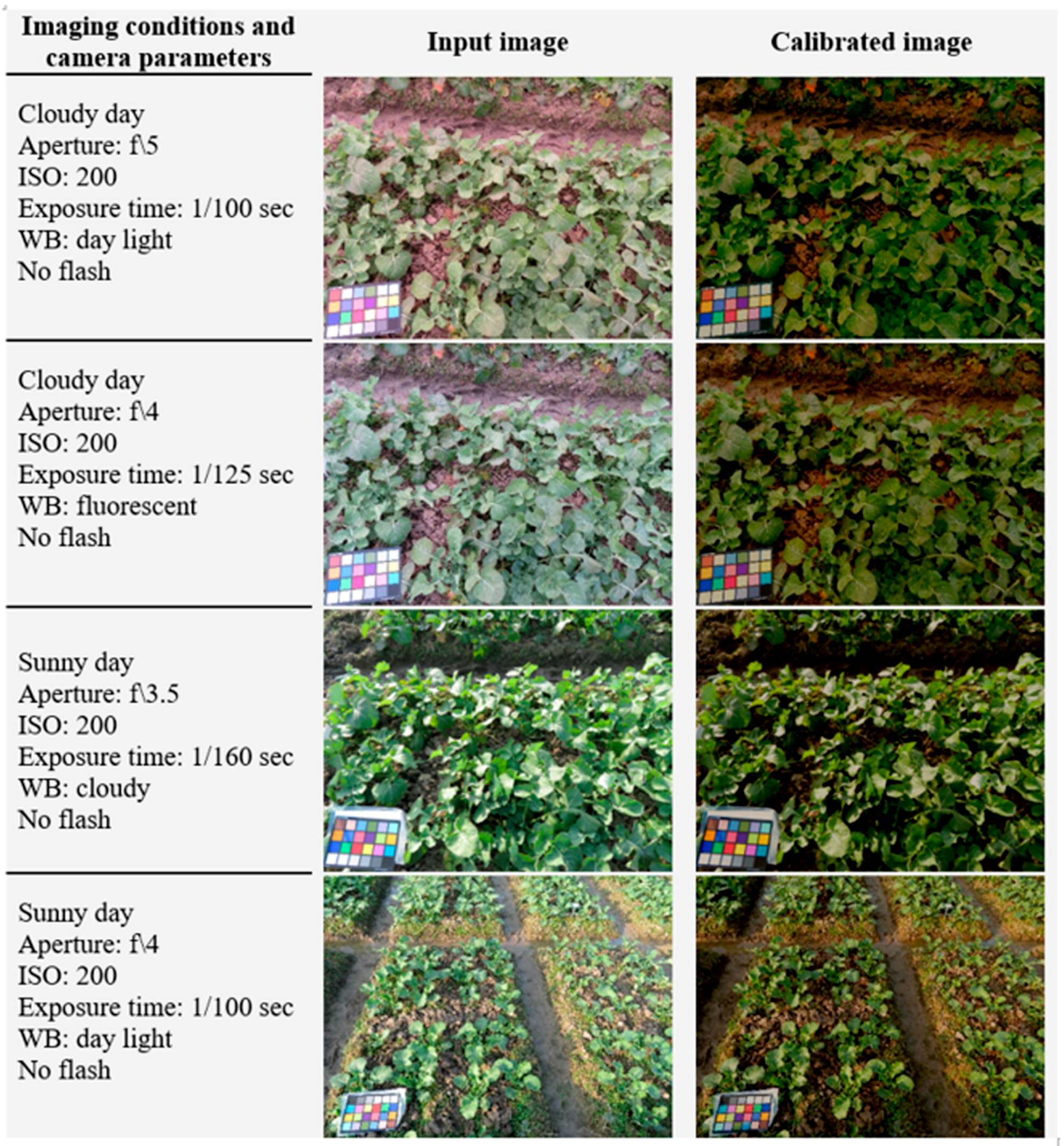 Remotesensing 11 03001 g008