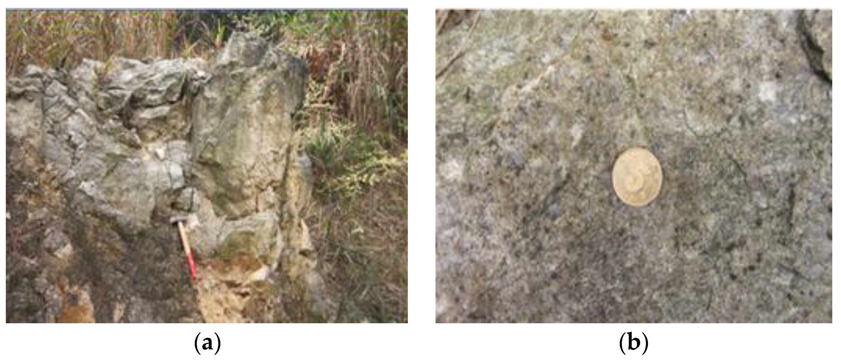 Remotesensing 11 03003 g016