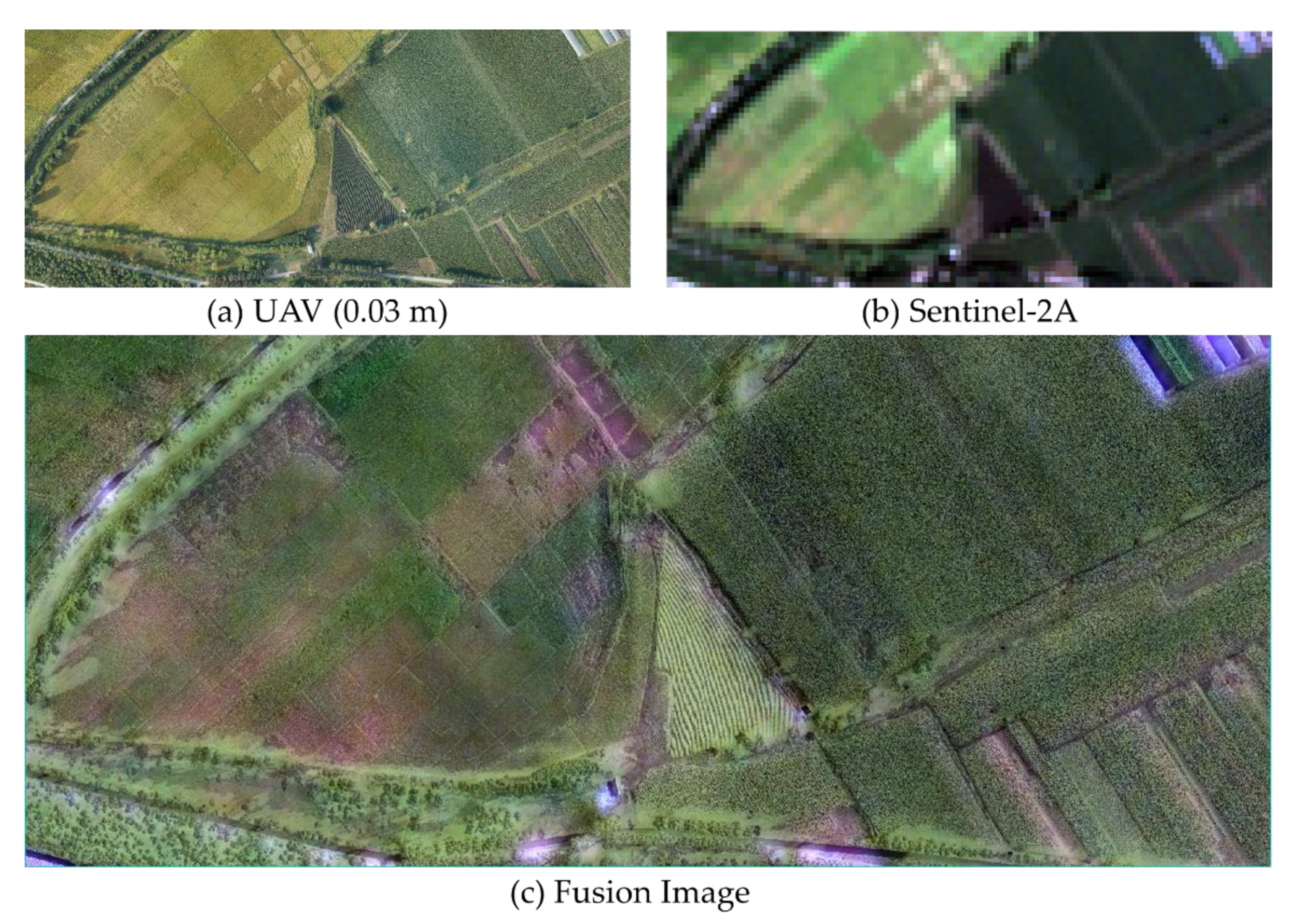 Remotesensing 11 03012 g006