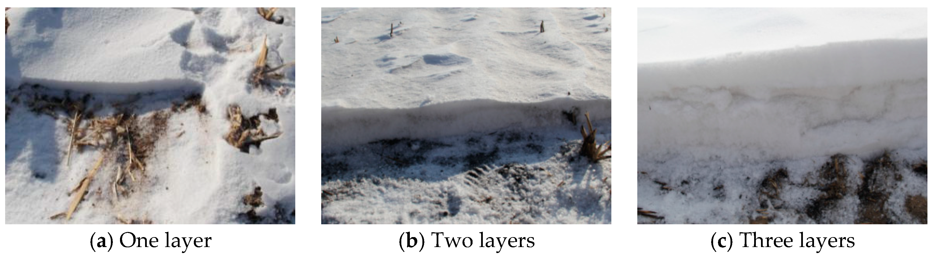 Remotesensing 11 03037 g004
