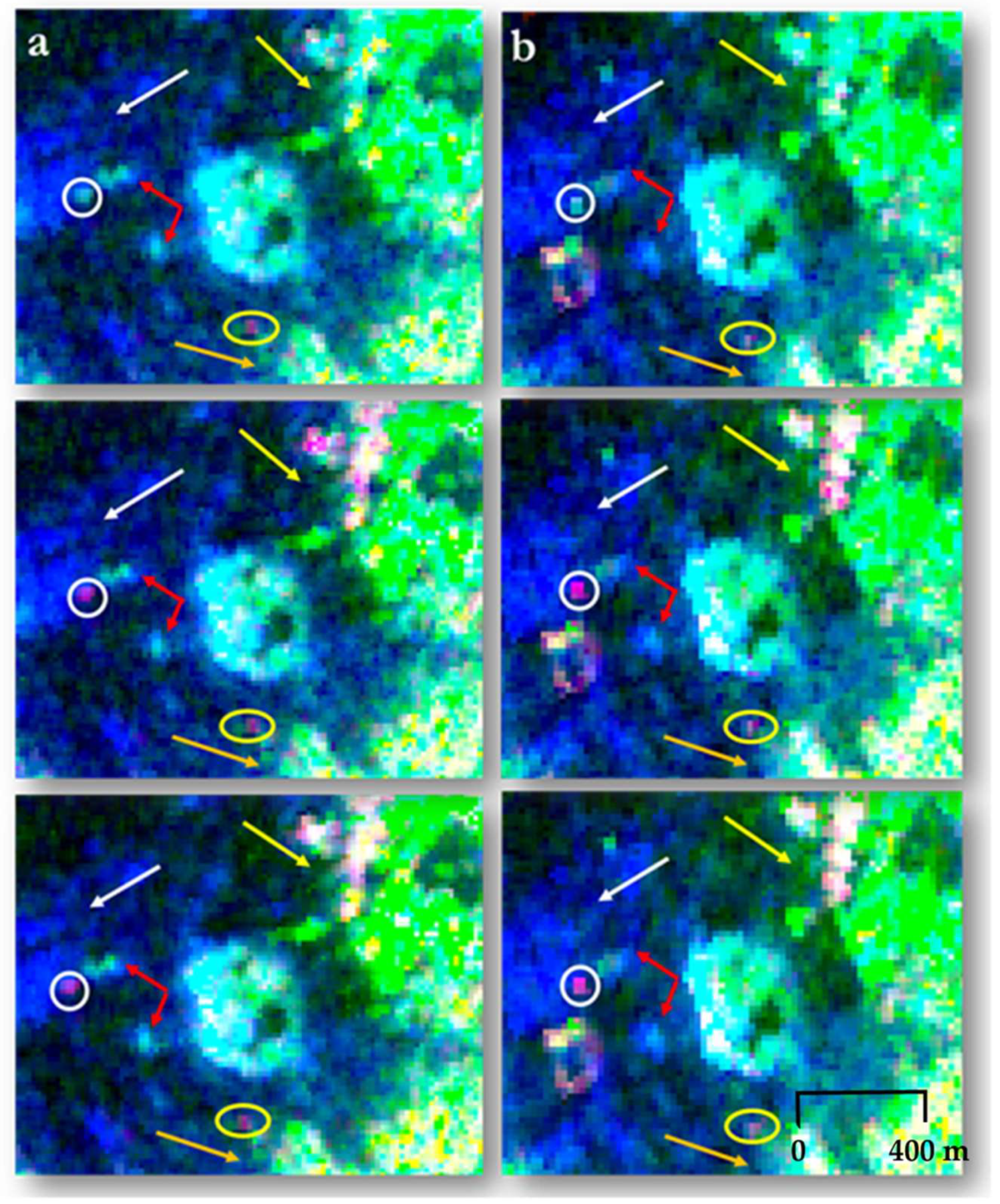 Remotesensing 12 00001 g013