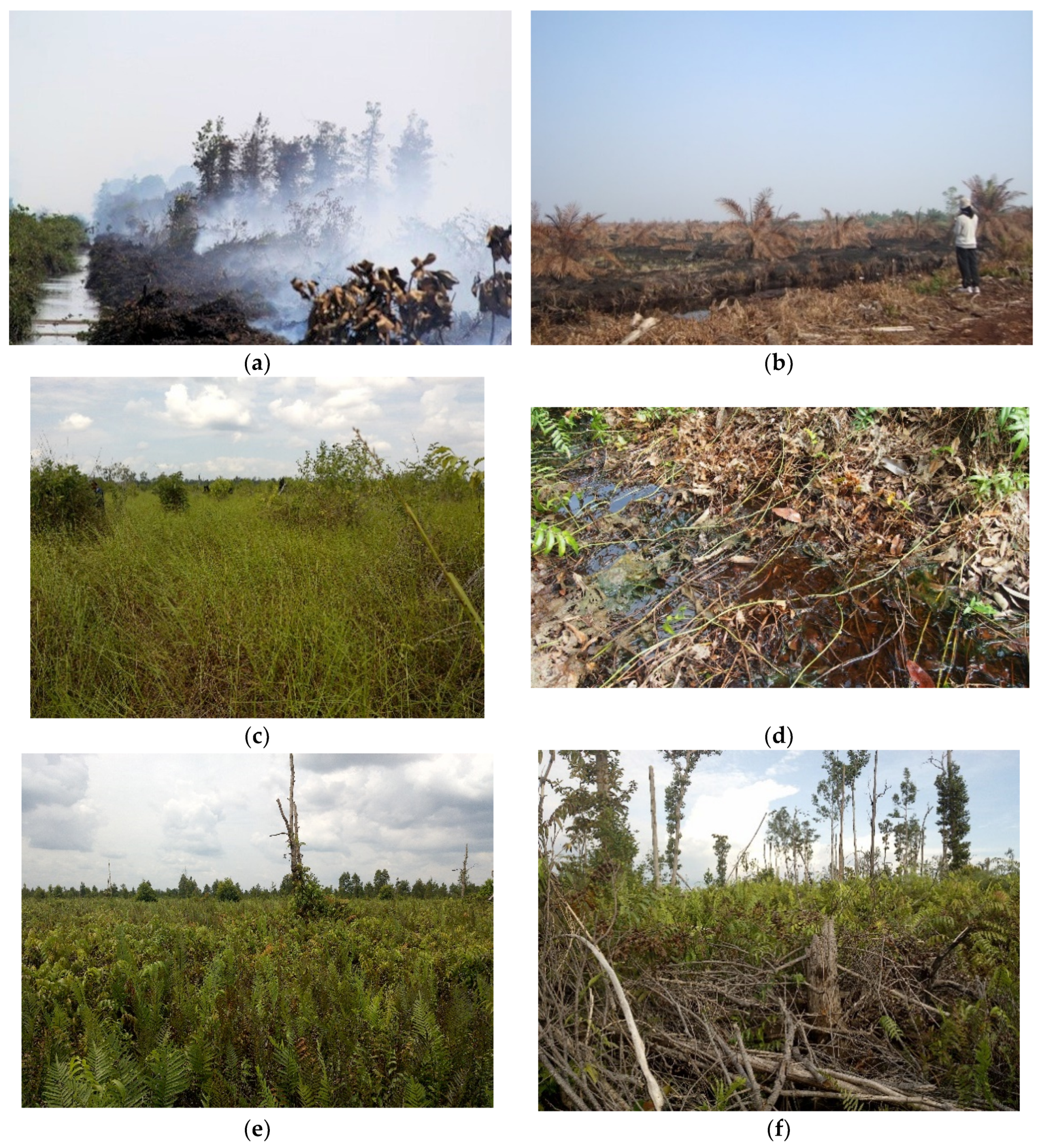 Remotesensing 12 00005 g007 Remotesensing 12 00005 g007