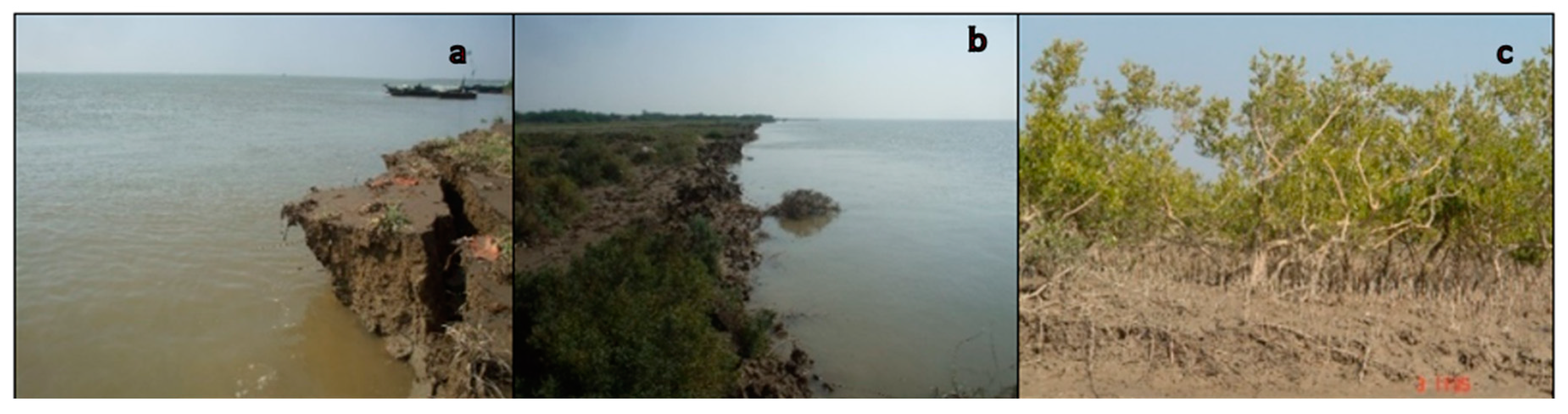 Remotesensing 12 00008 g012 Remotesensing 12 00008 g012