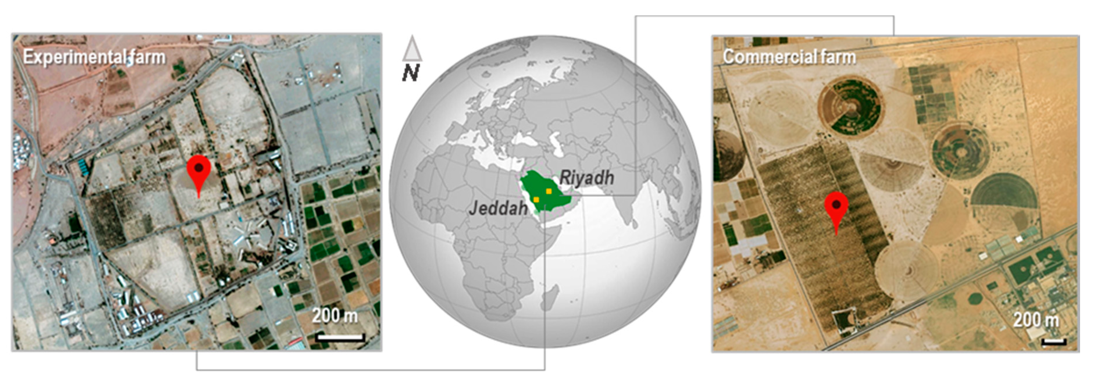 Remotesensing 12 00034 g001 Remotesensing 12 00034 g001