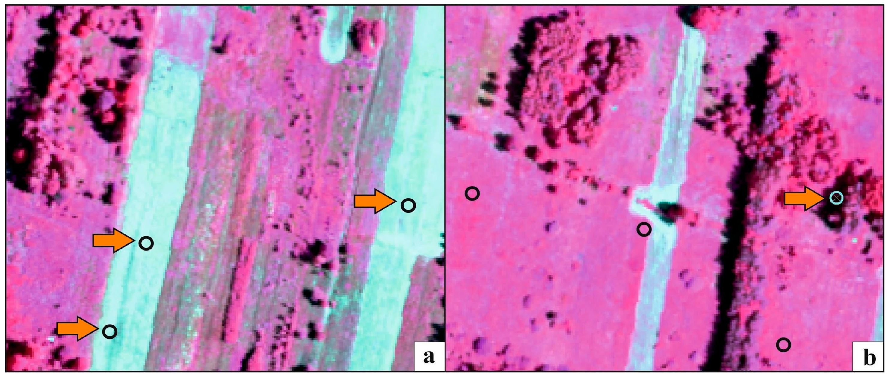 Remotesensing 12 00039 g007 Remotesensing 12 00039 g007