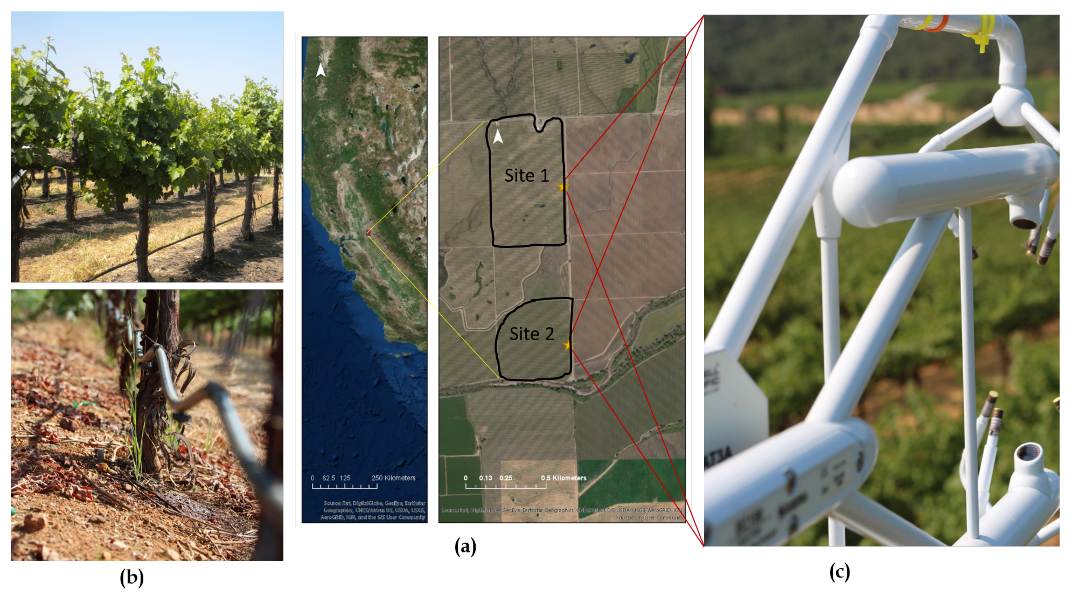 Remotesensing 12 00050 g001 Remotesensing 12 00050 g001