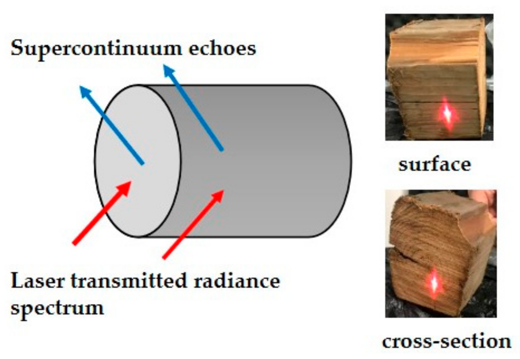 Remotesensing 12 00088 g005 Remotesensing 12 00088 g005