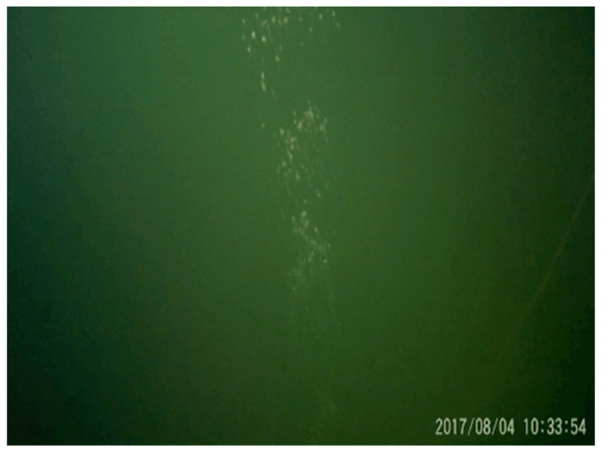 Remotesensing 12 00119 g005 Remotesensing 12 00119 g005