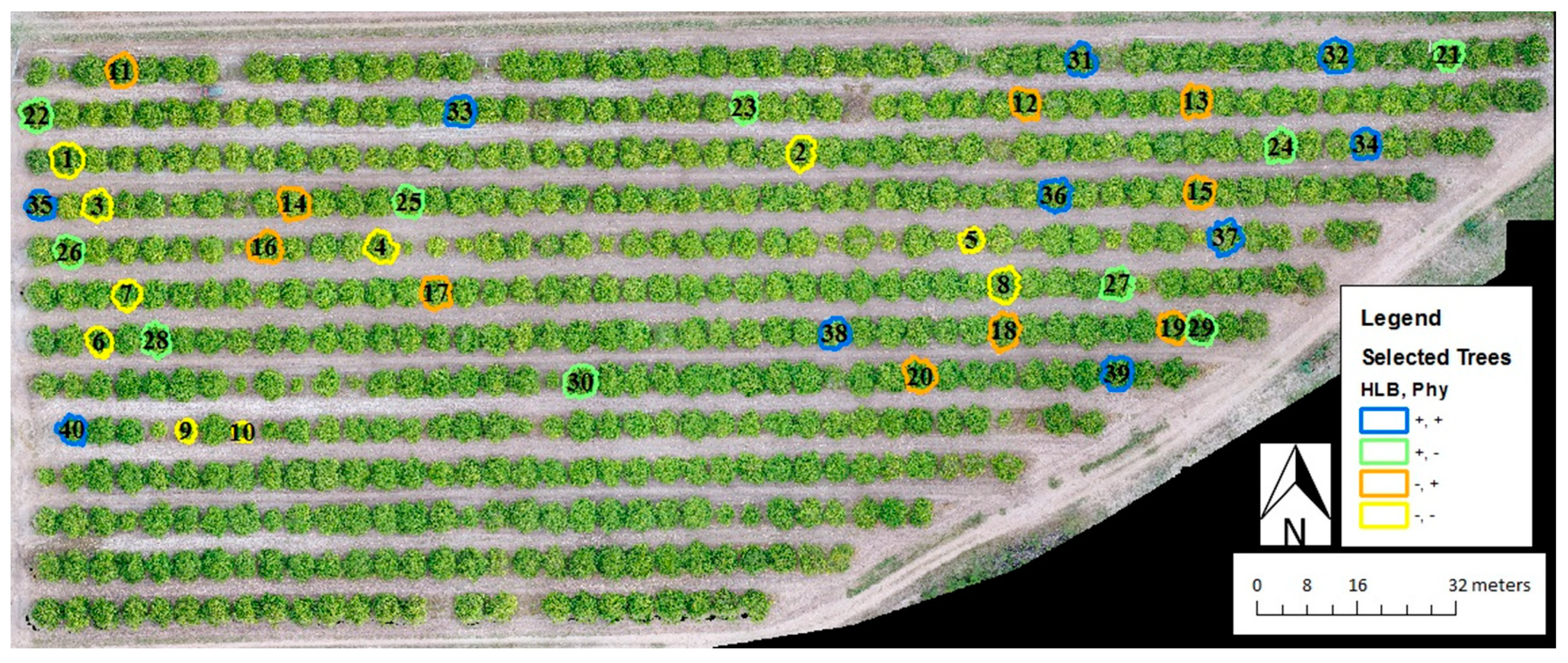 Remotesensing 12 00170 g001 Remotesensing 12 00170 g001