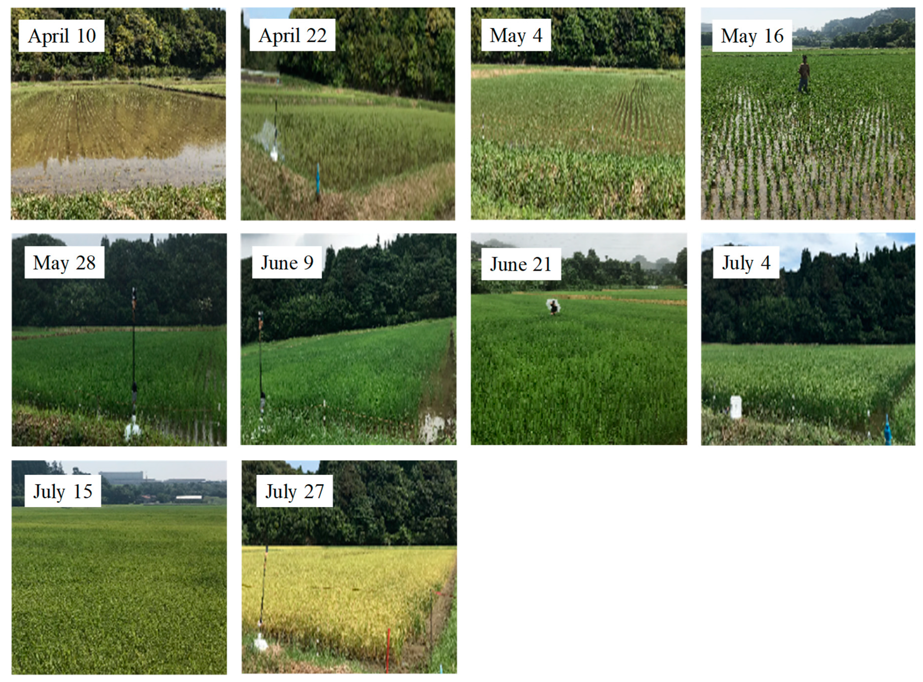 Remotesensing 12 00189 g005 Remotesensing 12 00189 g005