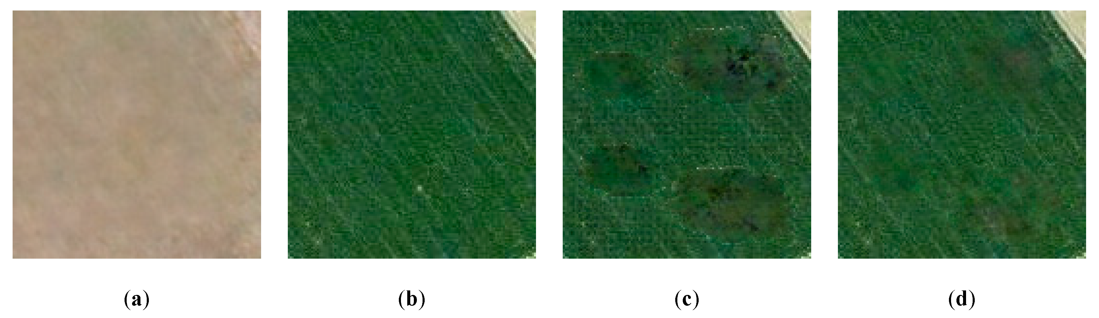 Remotesensing 12 00191 g010 Remotesensing 12 00191 g010