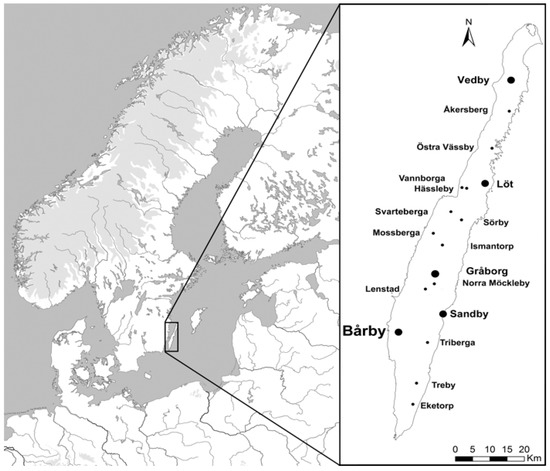 hässleby dejting