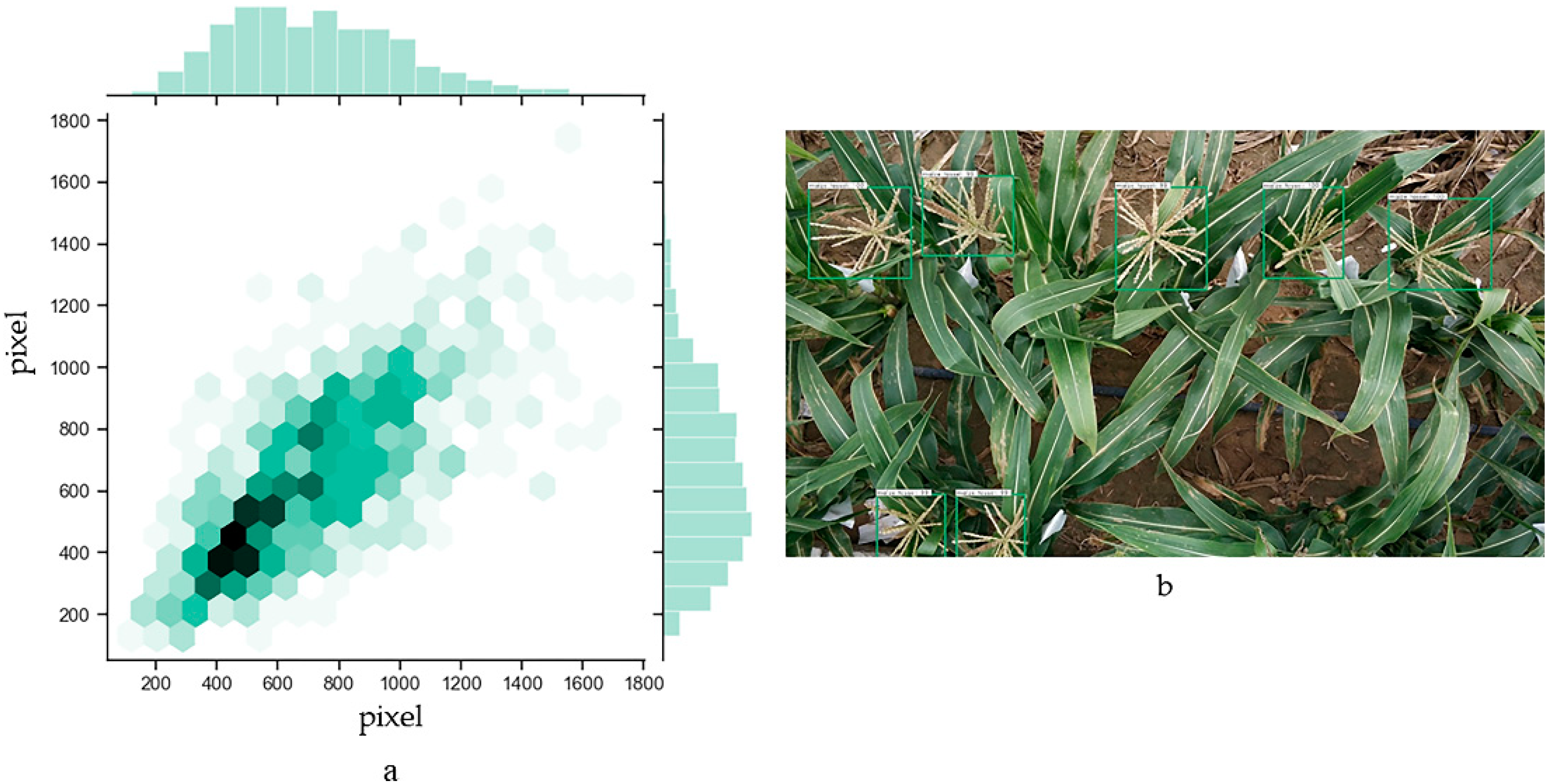Remotesensing 12 00338 g010