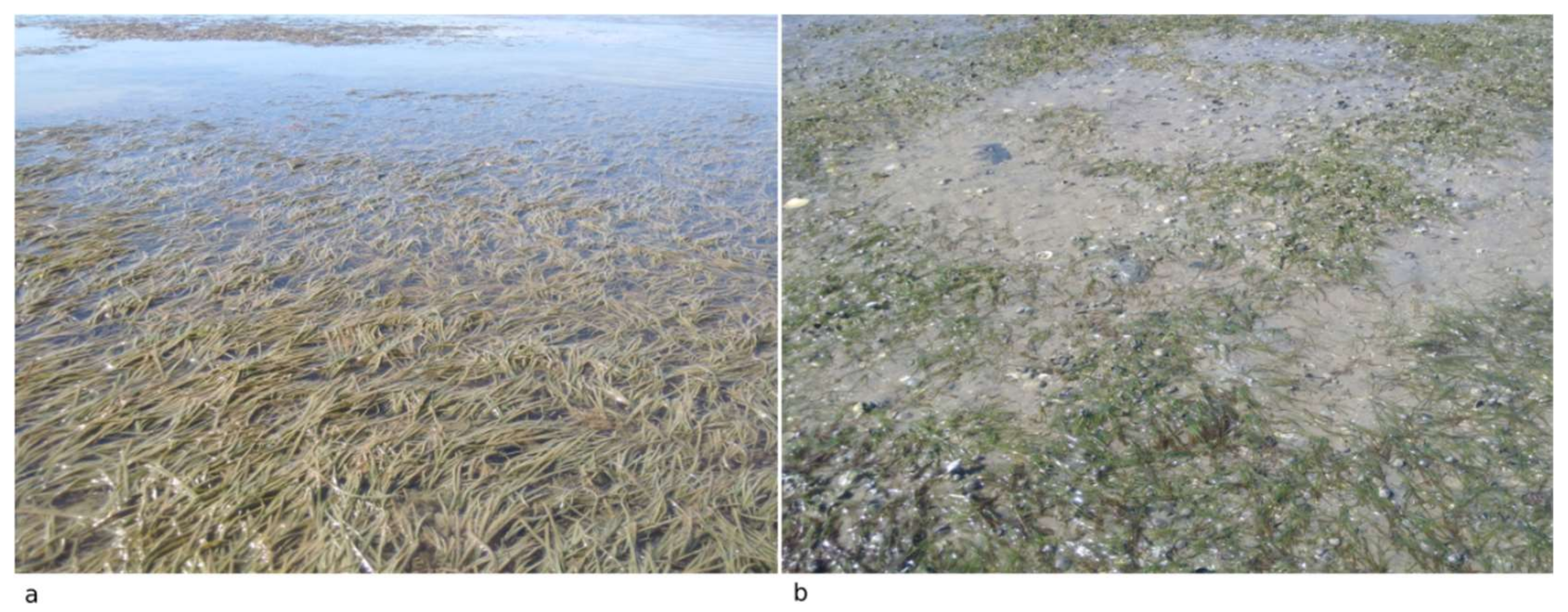 Remotesensing 12 00355 g002 Remotesensing 12 00355 g002