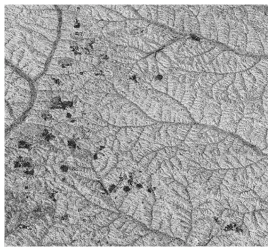 Remotesensing 12 00367 i014 Remotesensing 12 00367 i014