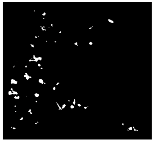 Remotesensing 12 00367 i015 Remotesensing 12 00367 i015