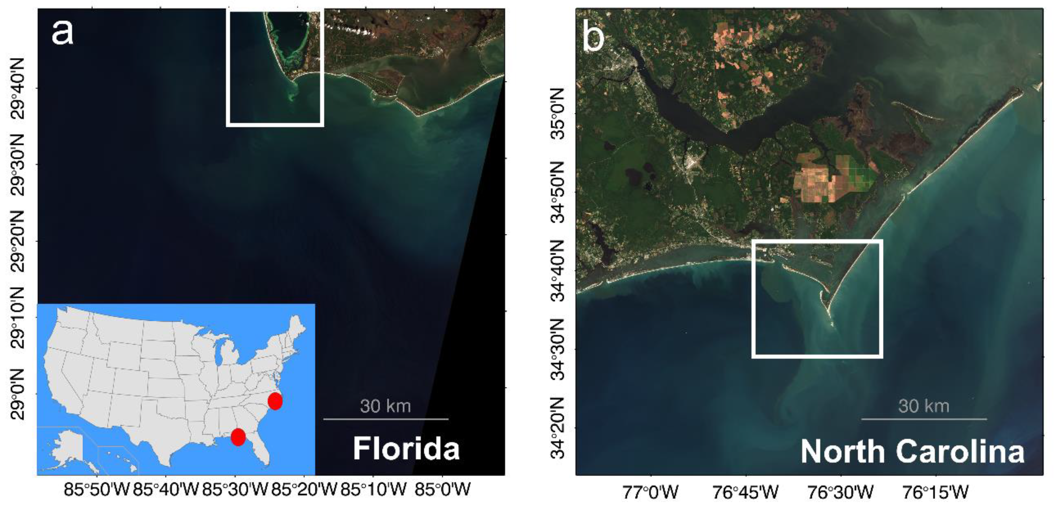 Remotesensing 12 00451 g001