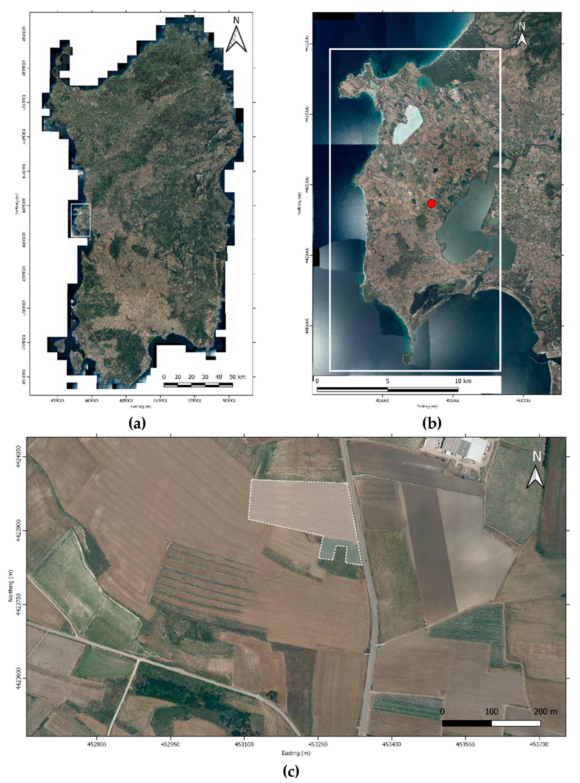 Remotesensing 12 00461 g001