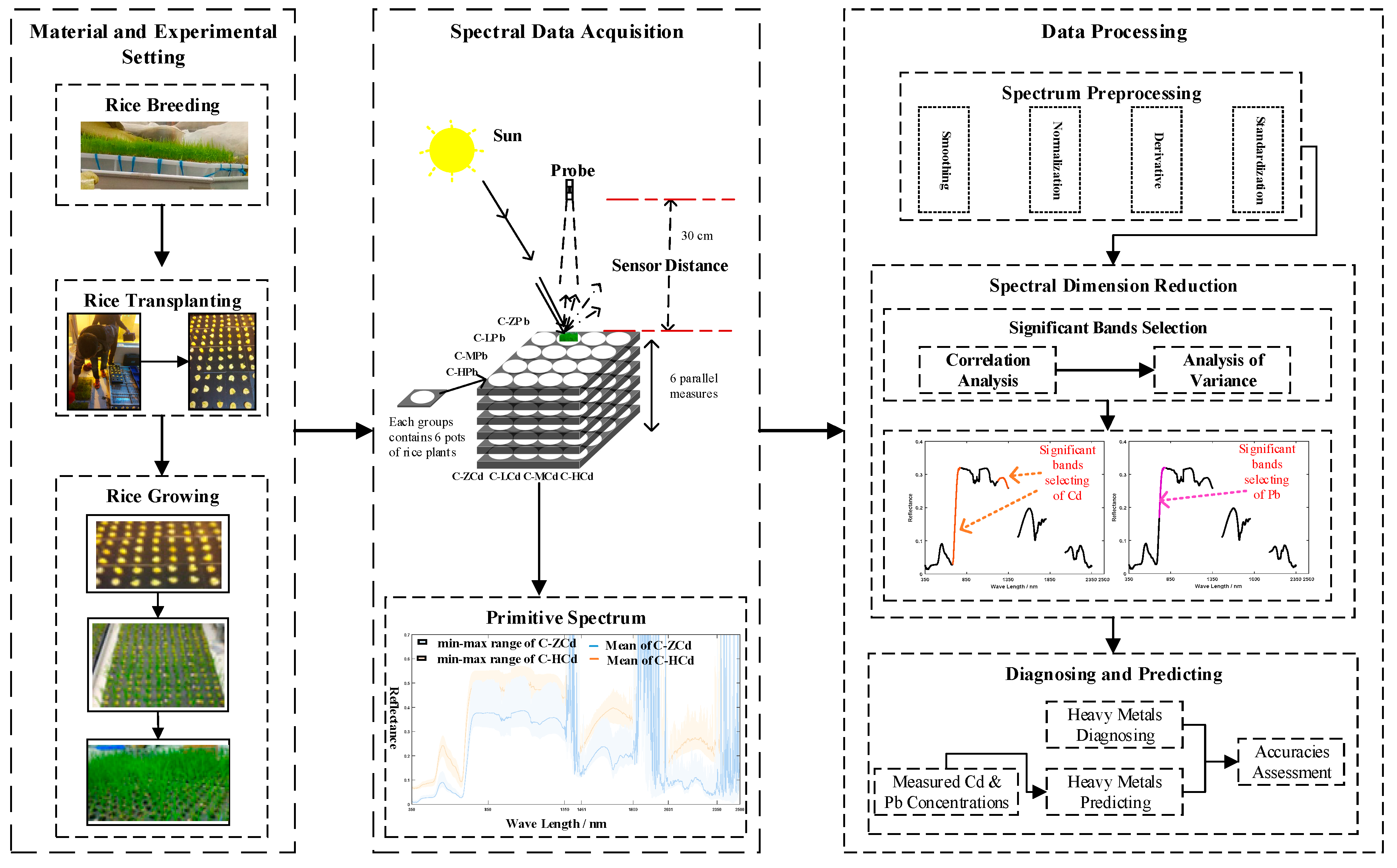 Remotesensing 12 00469 g002
