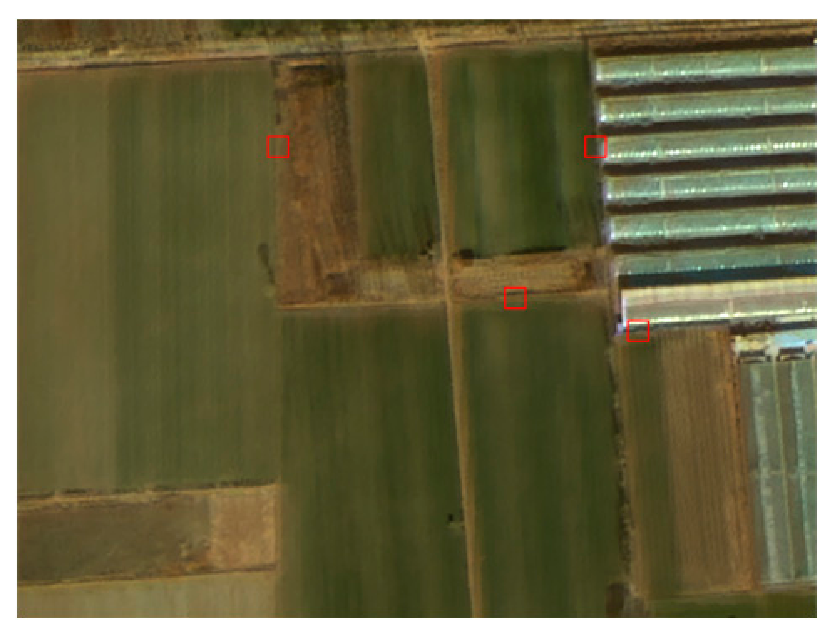 Remotesensing 12 00538 g006