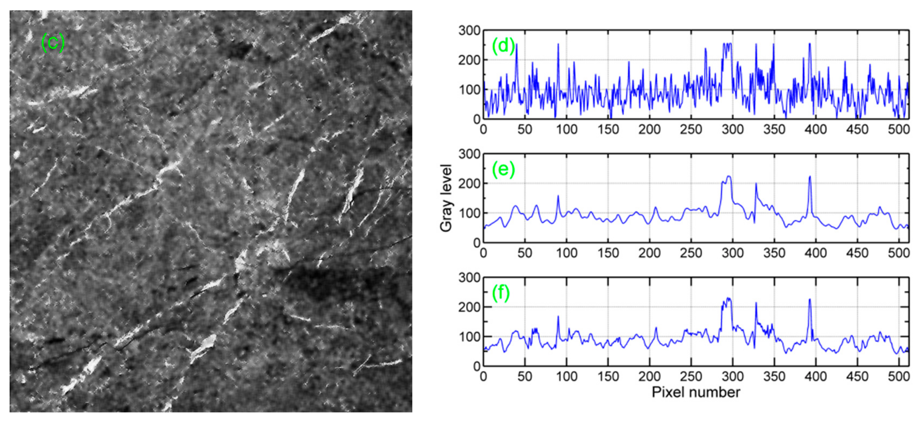 Remotesensing 12 00581 g003b Remotesensing 12 00581 g003b