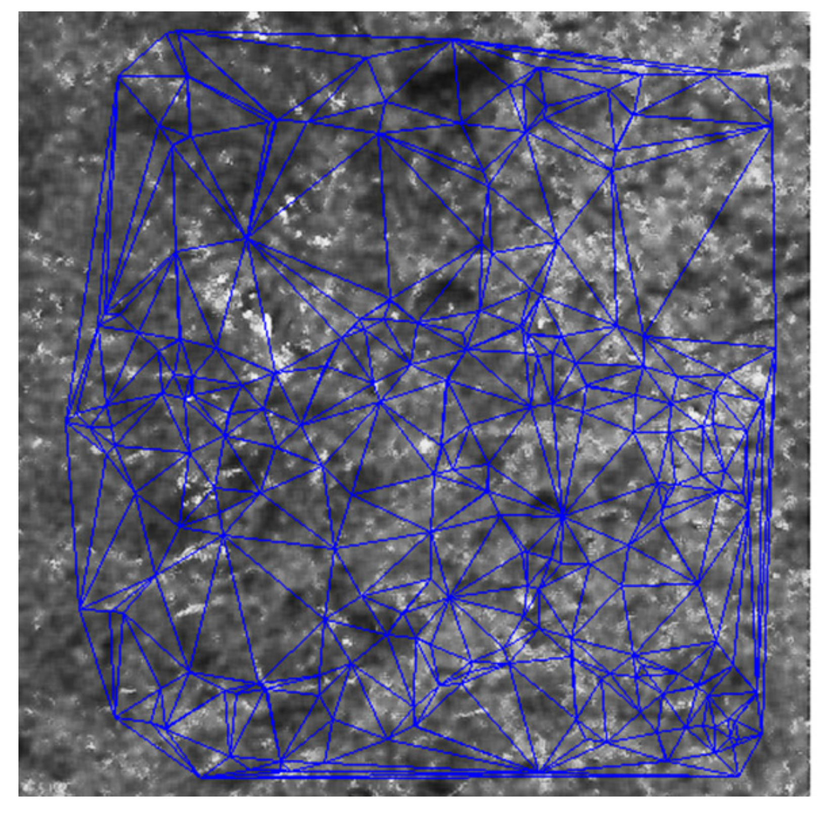 Remotesensing 12 00581 g004 Remotesensing 12 00581 g004