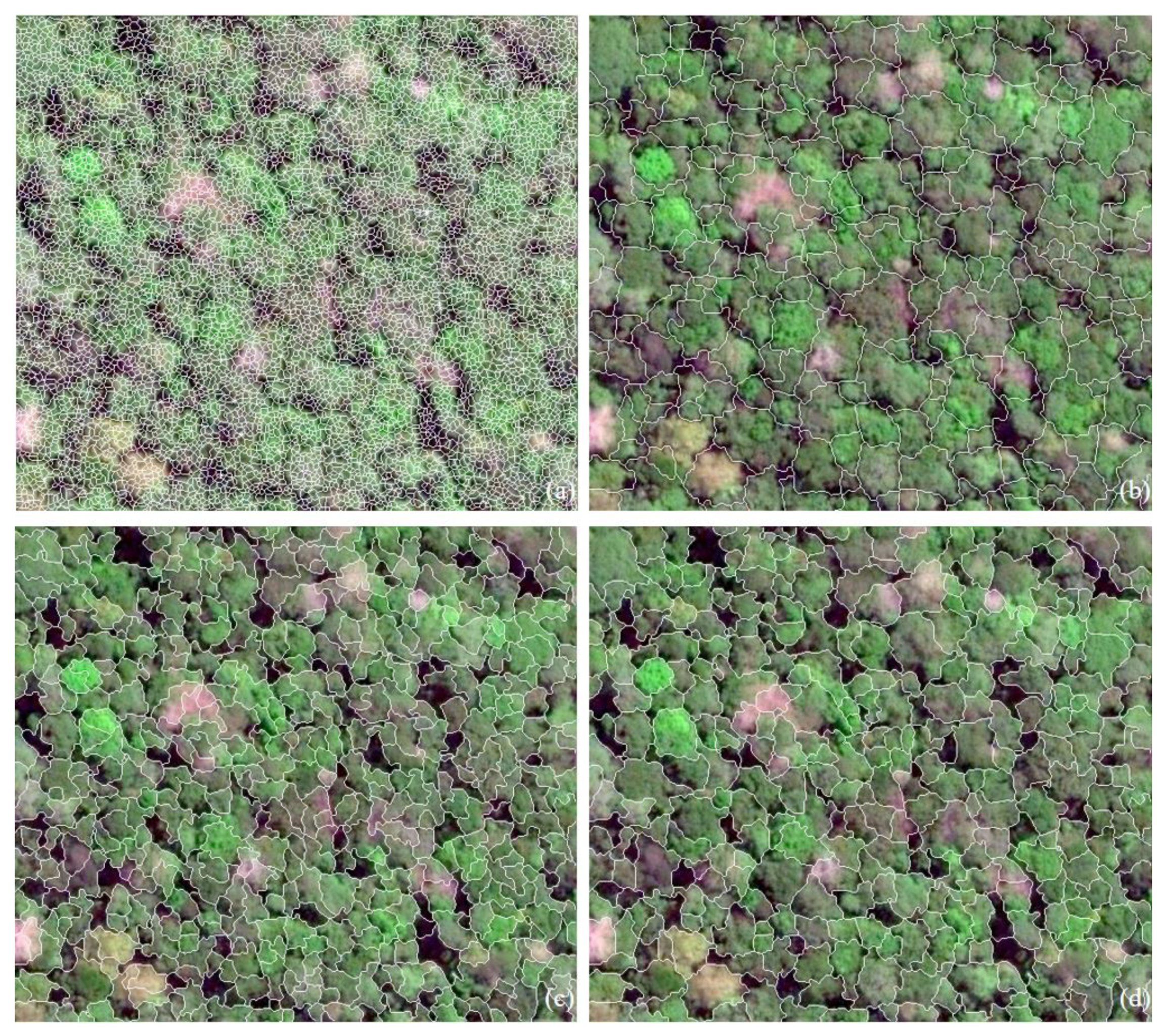 Remotesensing 12 00585 g009
