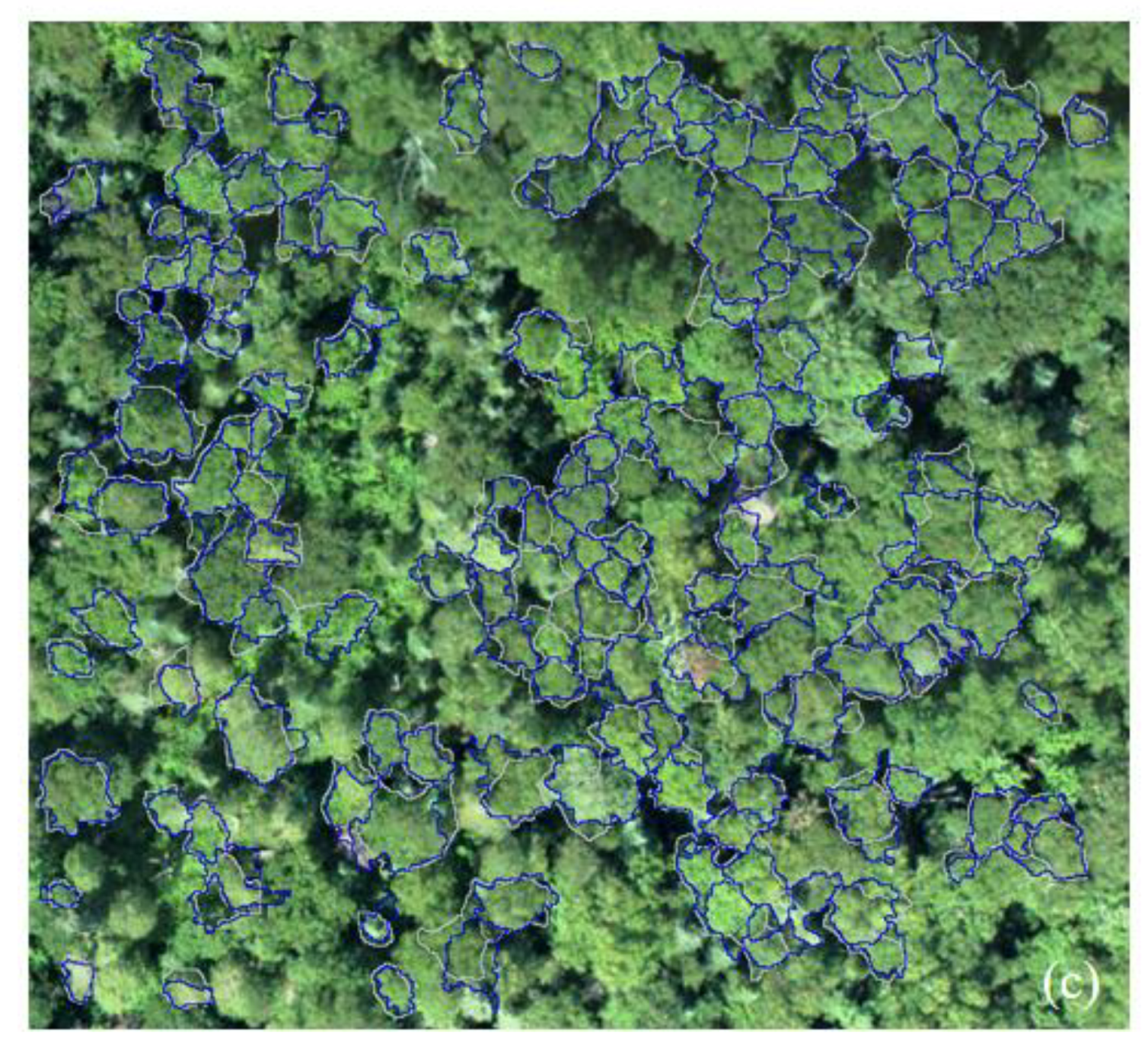 Remotesensing 12 00585 g014b