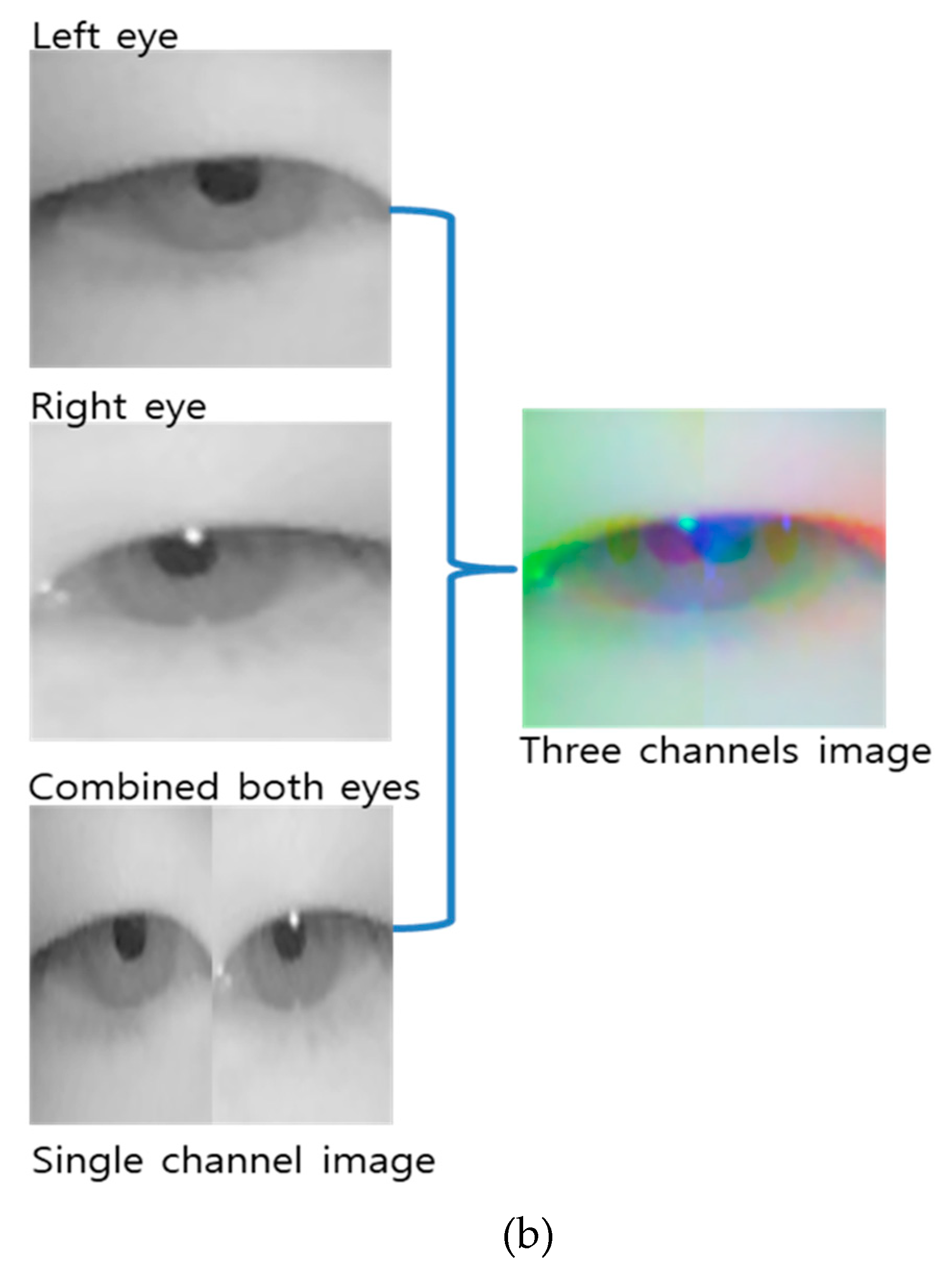 Remotesensing 12 00587 g006b Remotesensing 12 00587 g006b