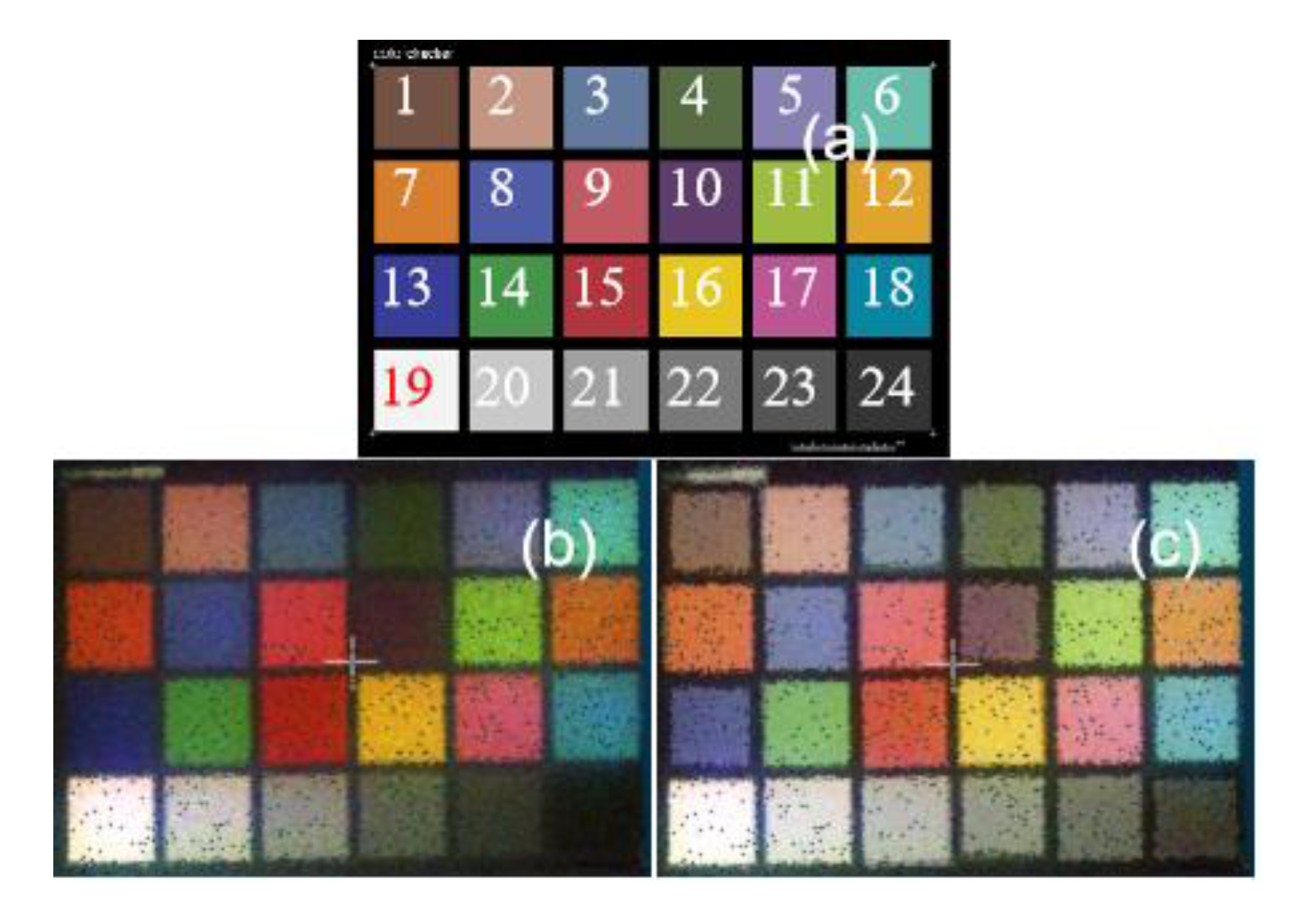 Remotesensing 12 00593 g011