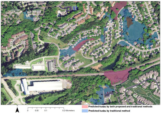 Mapping Vegetation at Species Level with High-Resolution Multispectral ...