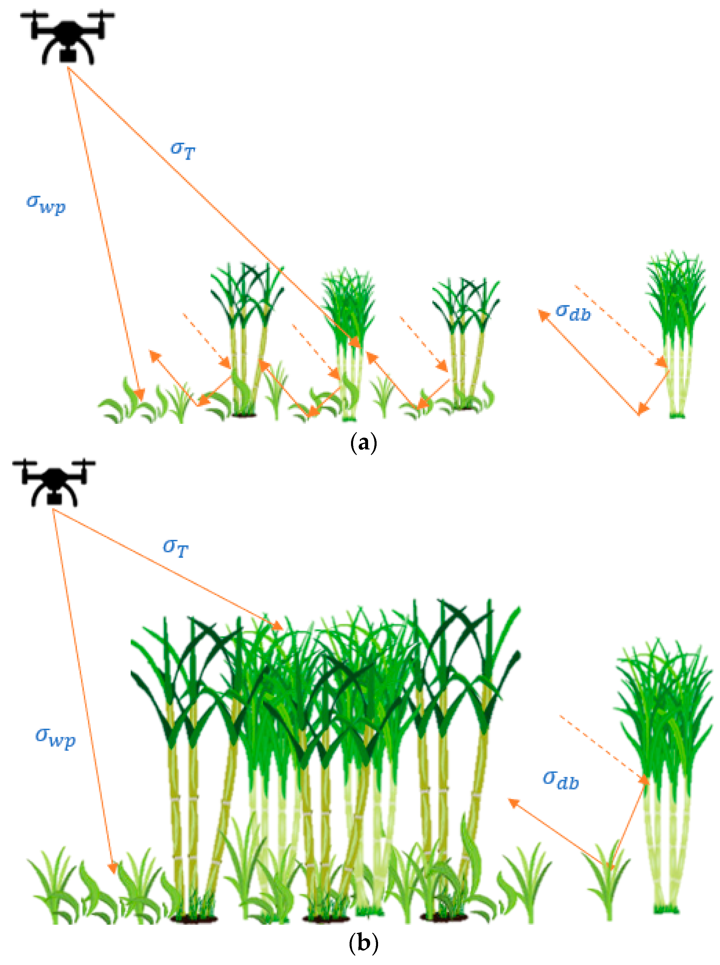 Remotesensing 12 00615 g006 Remotesensing 12 00615 g006