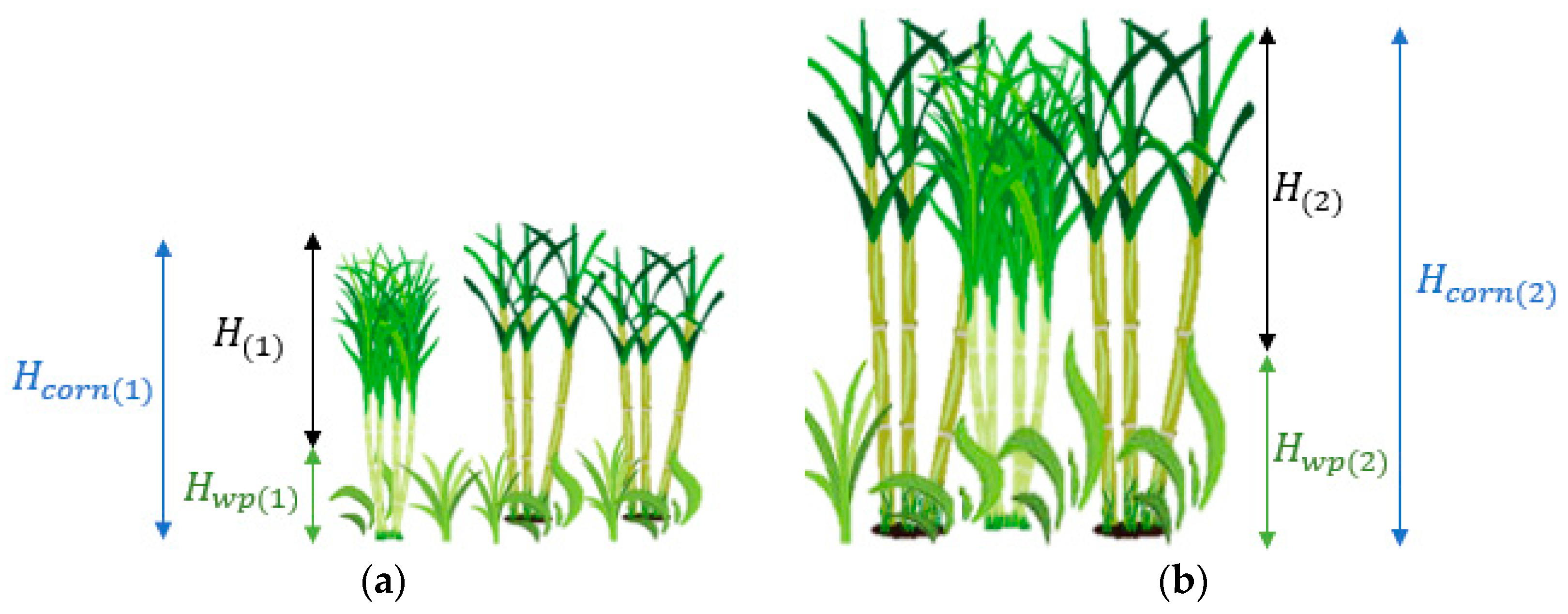 Remotesensing 12 00615 g007 Remotesensing 12 00615 g007