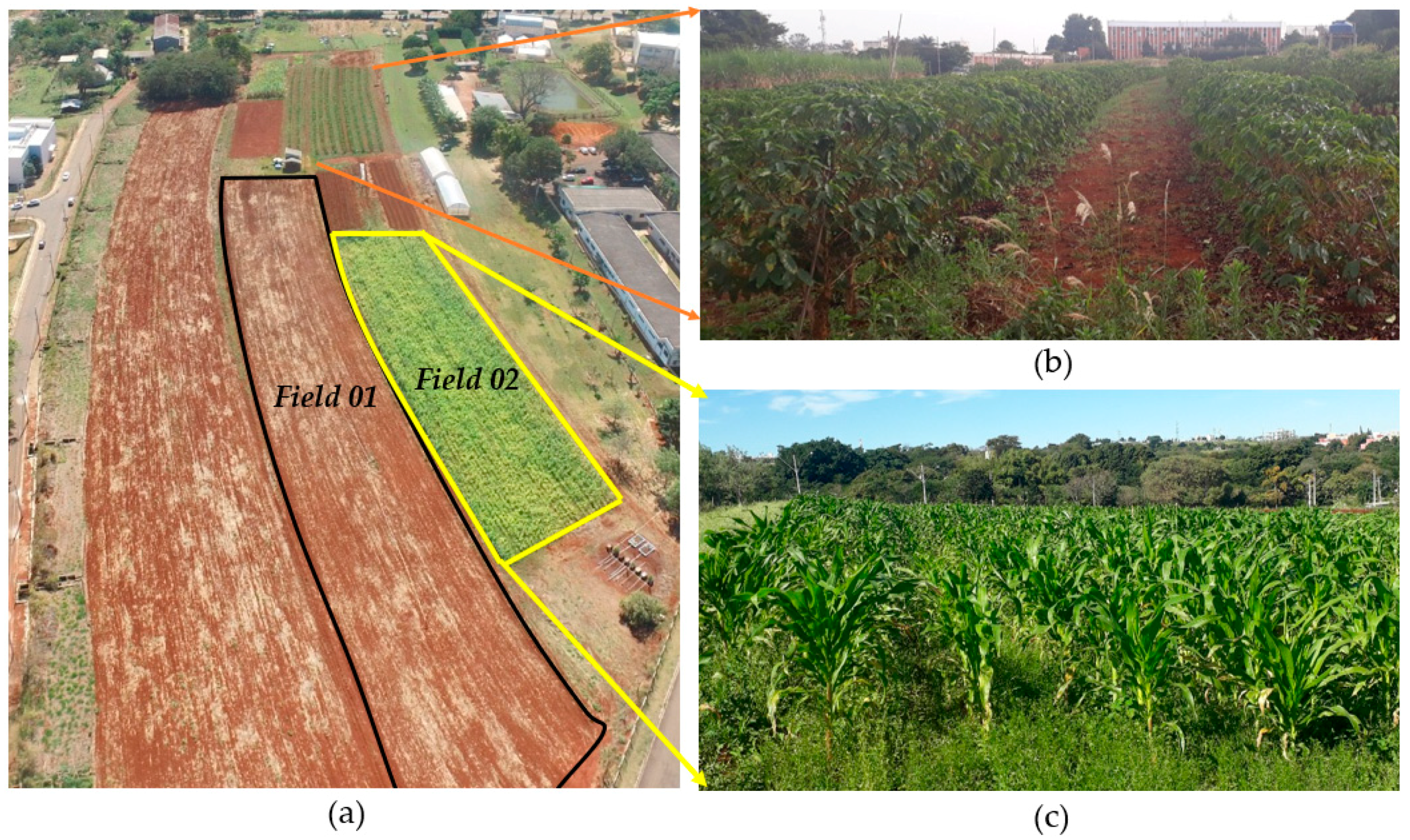 Remotesensing 12 00615 g008 Remotesensing 12 00615 g008